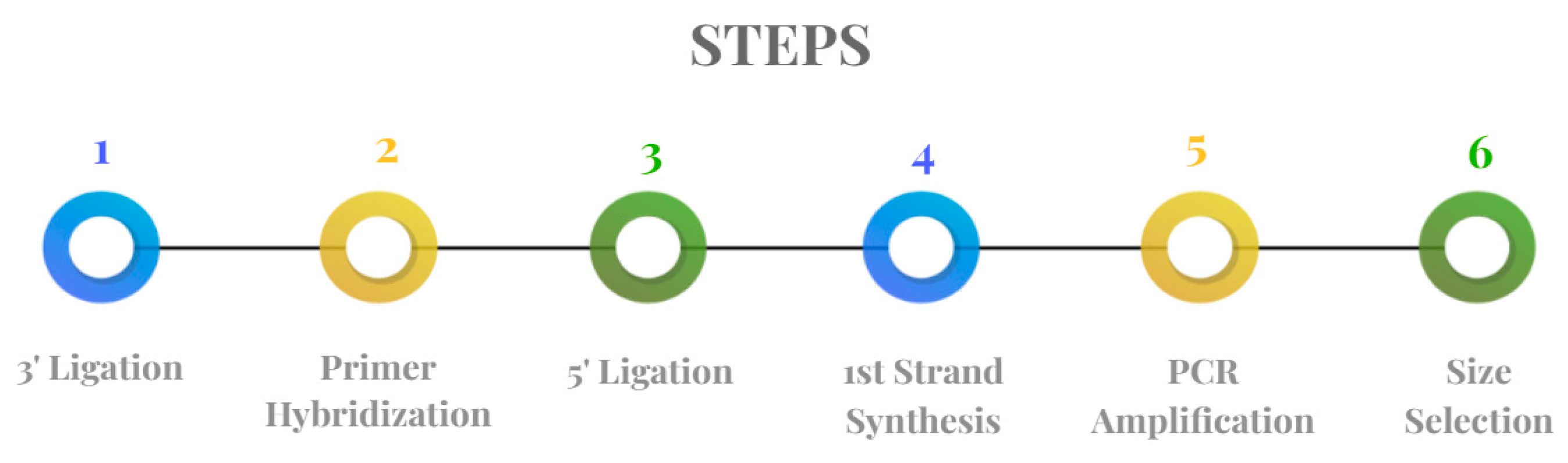 Life 13 00064 g006 Life 13 00064 g006