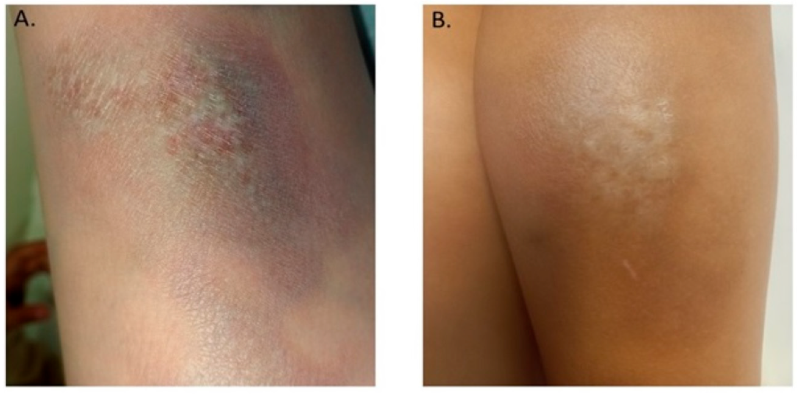 Life 13 00072 g003 Life 13 00072 g003