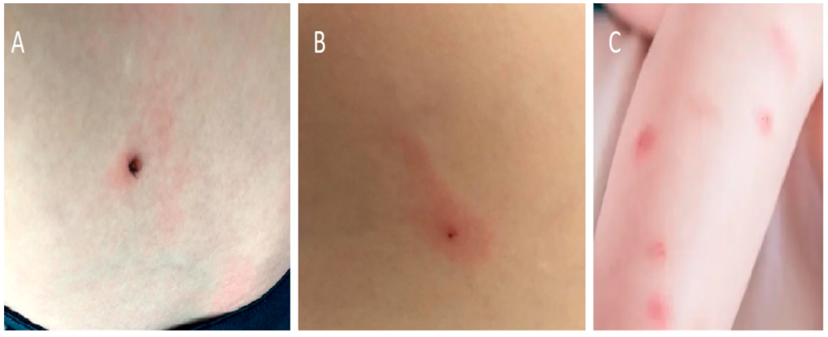 Life 13 00072 g004 Life 13 00072 g004