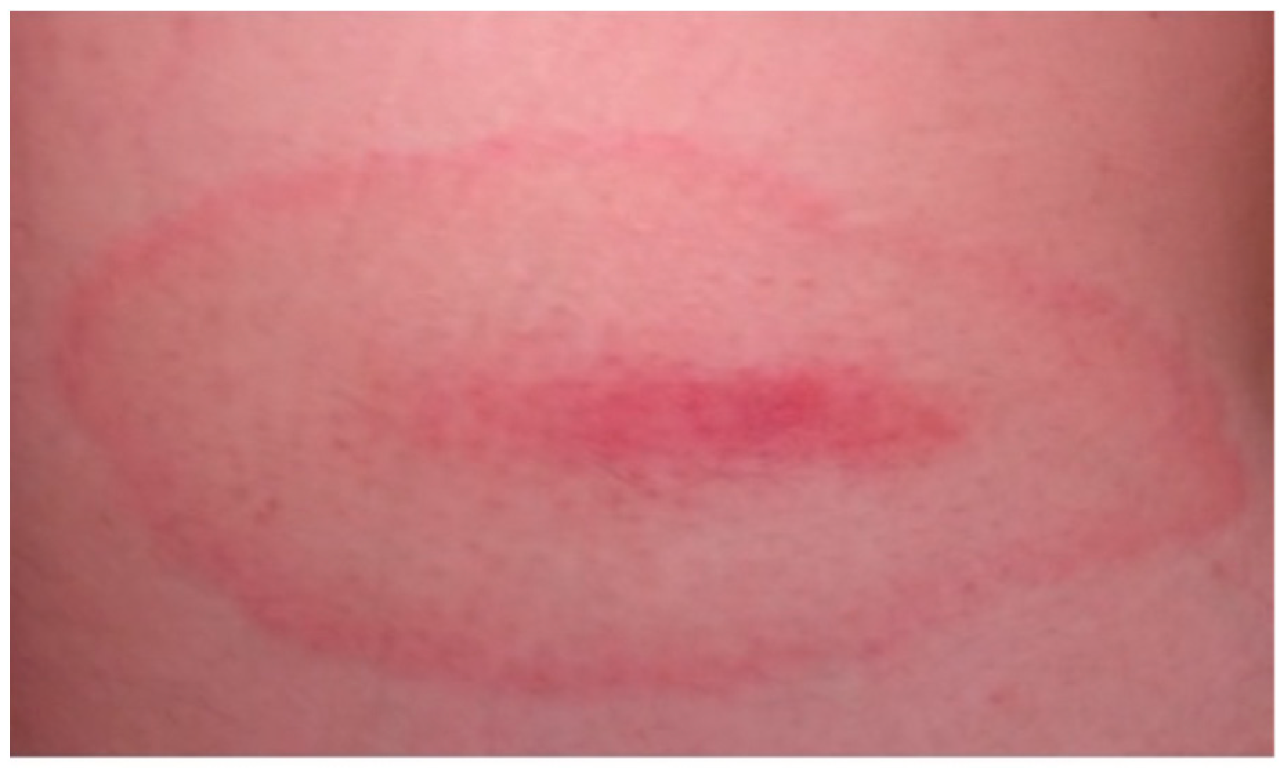 Life 13 00072 g005 Life 13 00072 g005