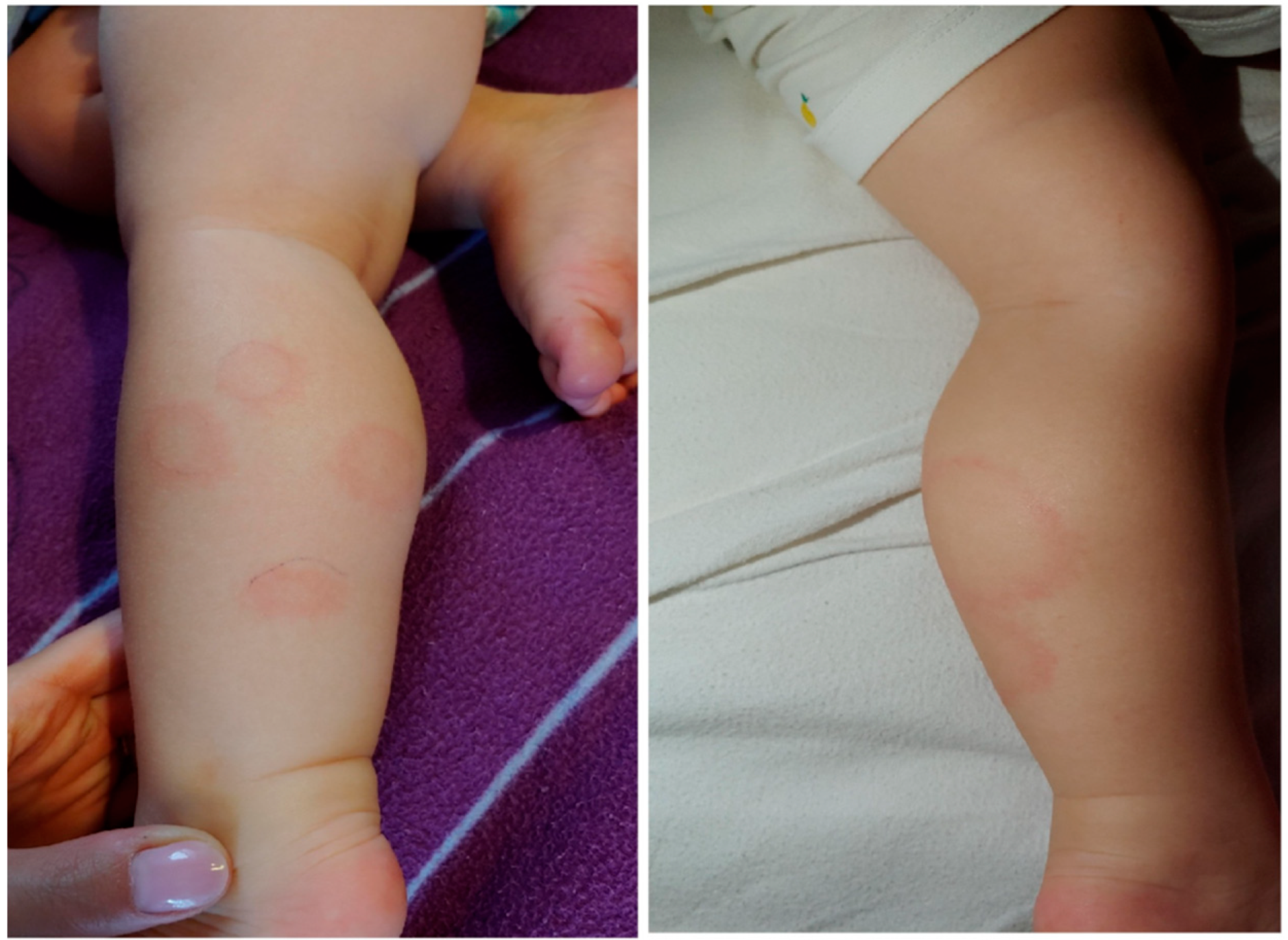 Life 13 00072 g006 Life 13 00072 g006