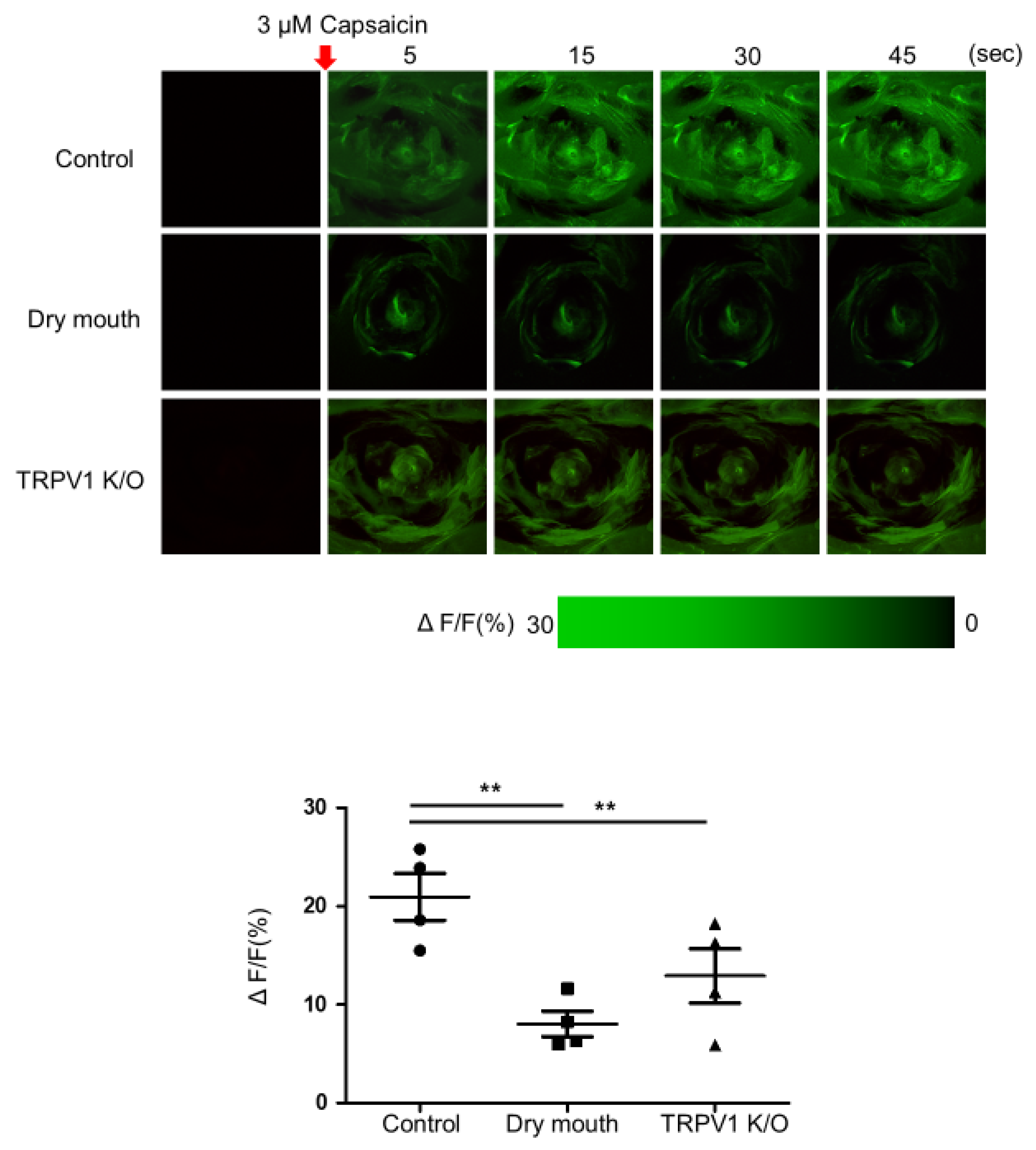 Life 13 00075 g002 Life 13 00075 g002