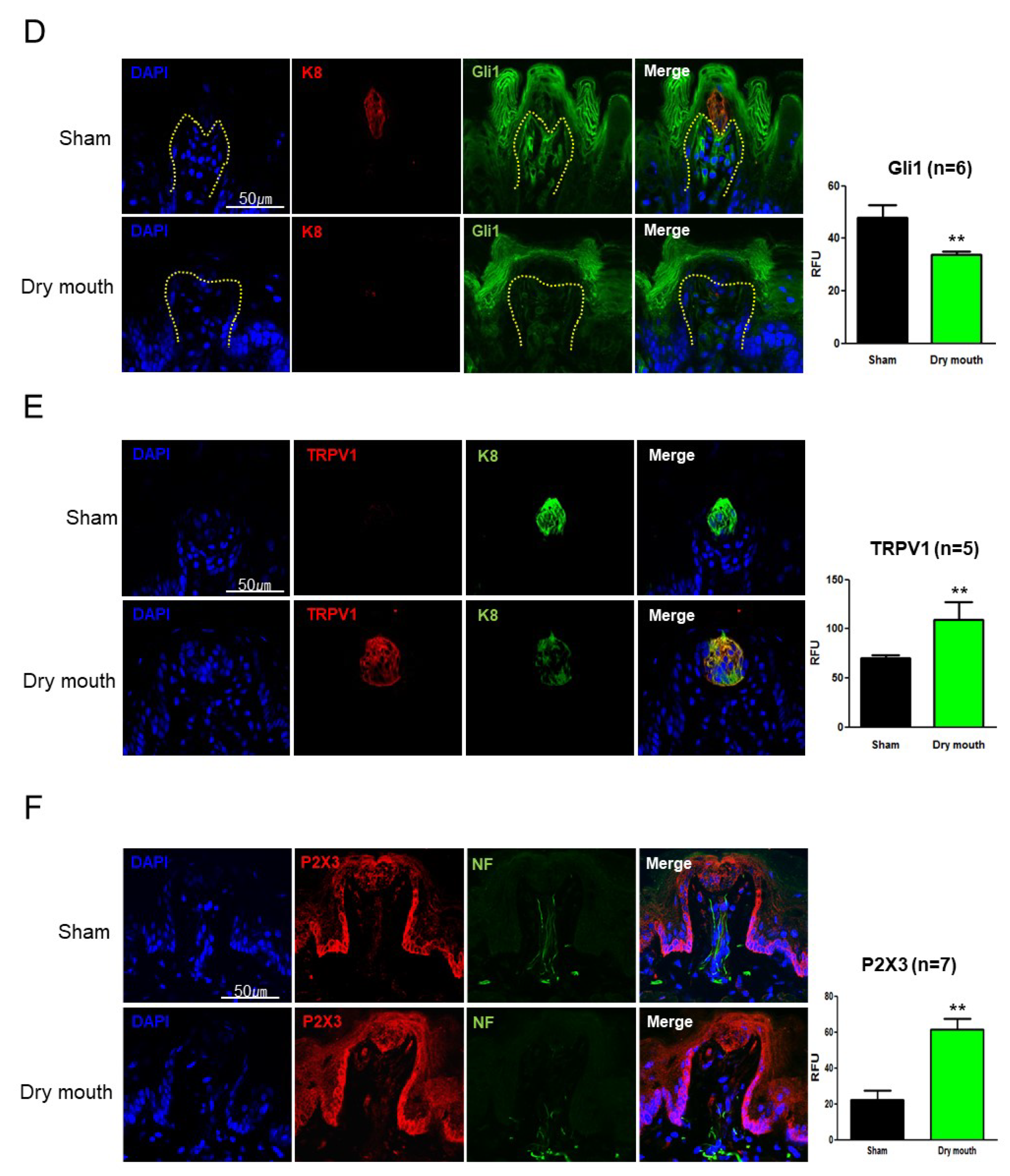 Life 13 00075 g003b Life 13 00075 g003b