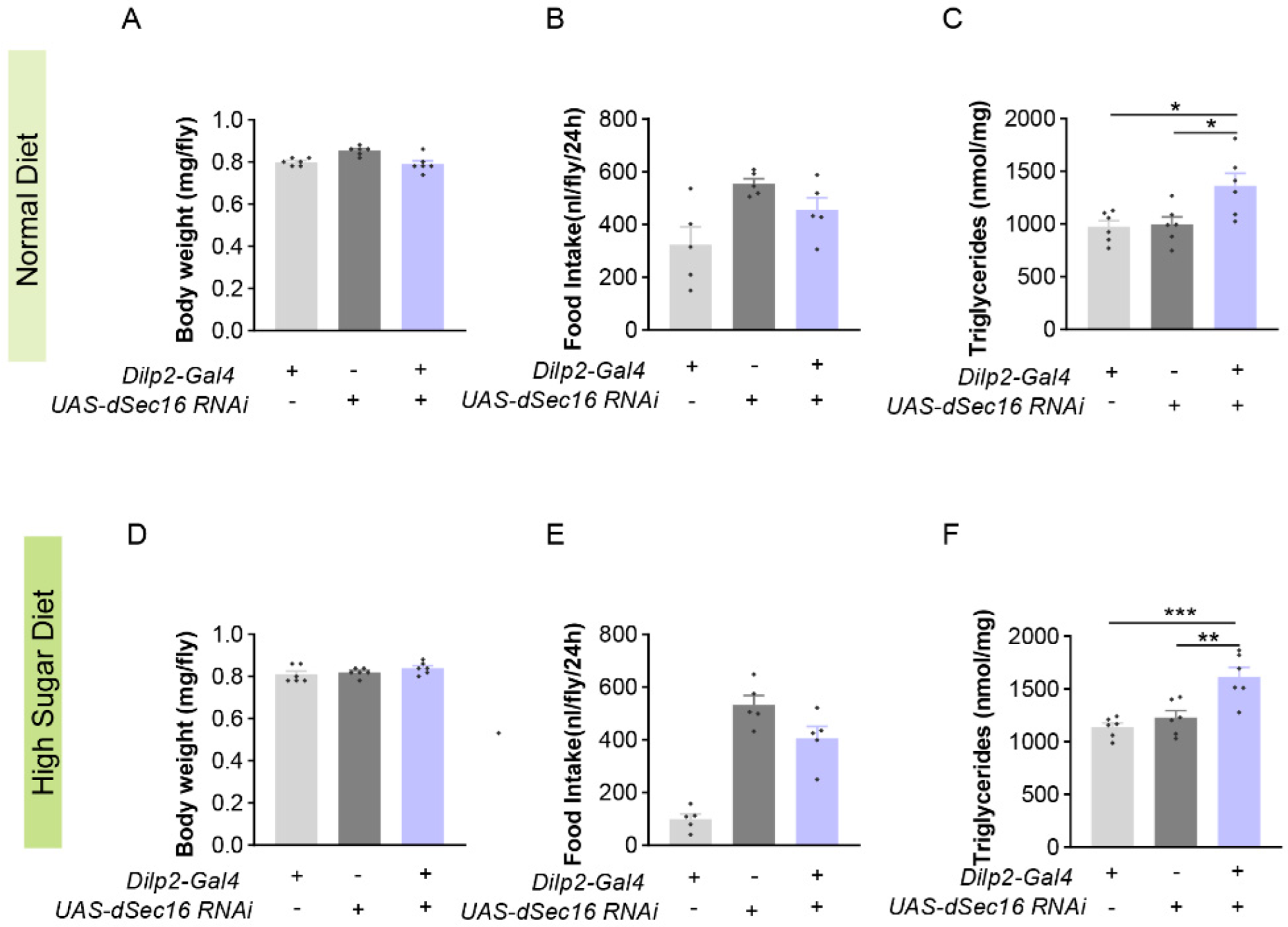 Life 13 00081 g004 Life 13 00081 g004