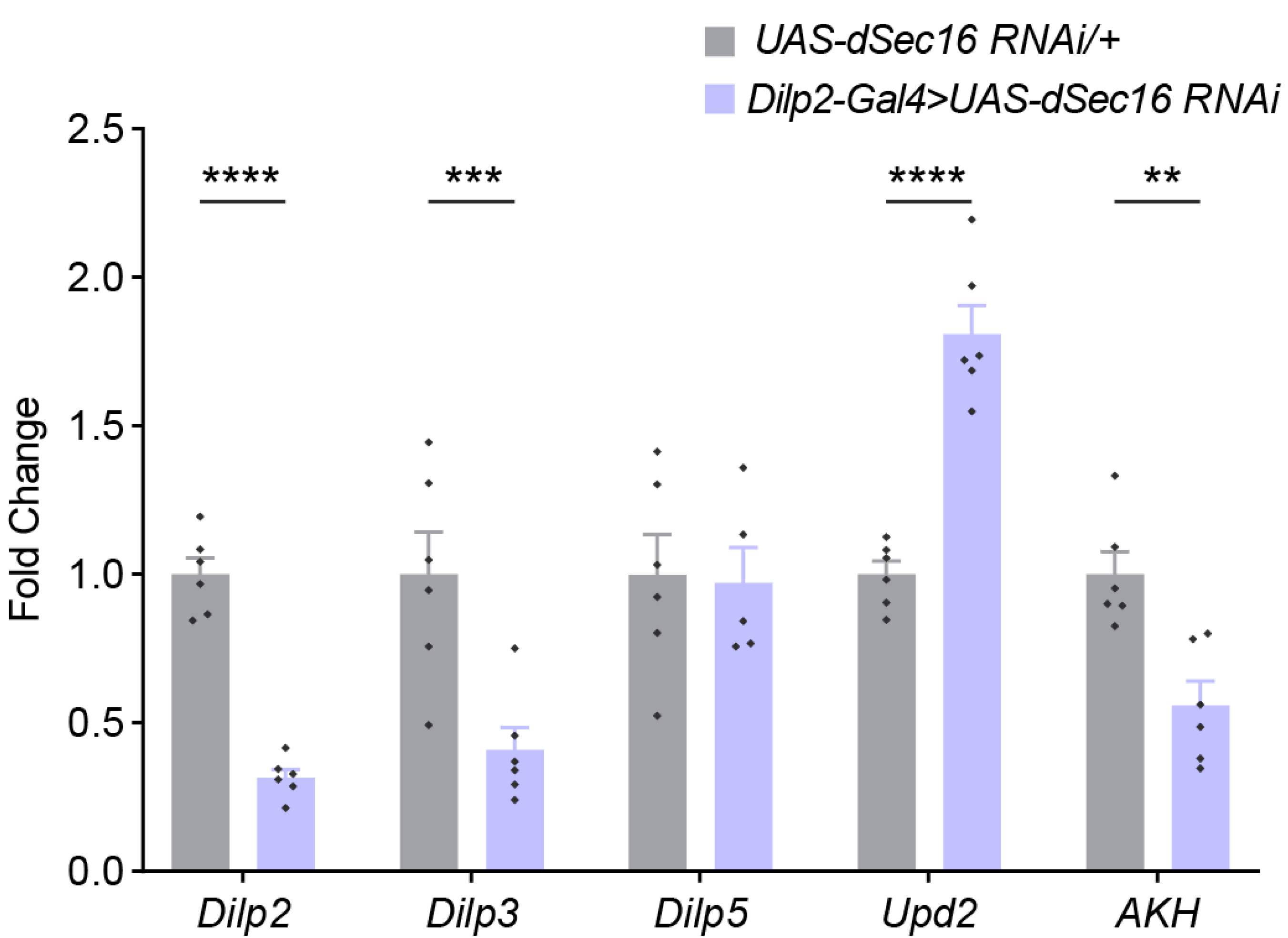Life 13 00081 g005 Life 13 00081 g005