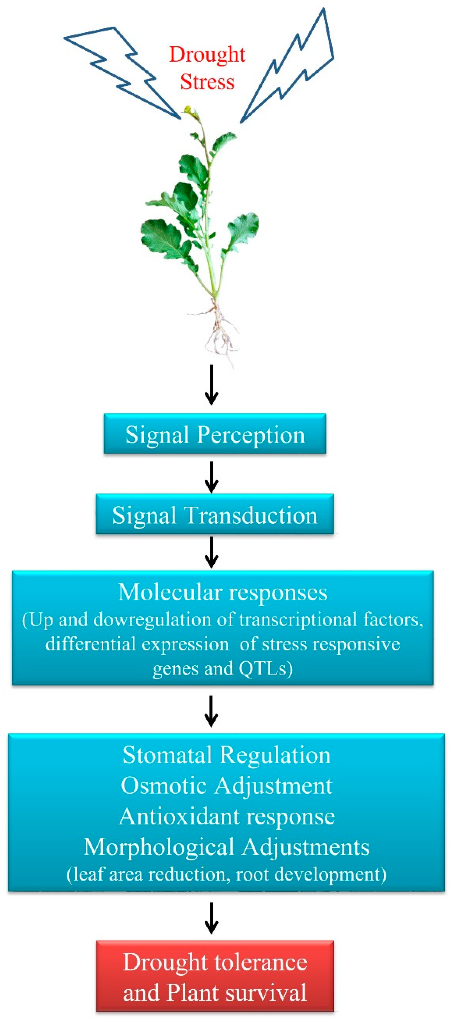 Life 13 00088 g002 Life 13 00088 g002