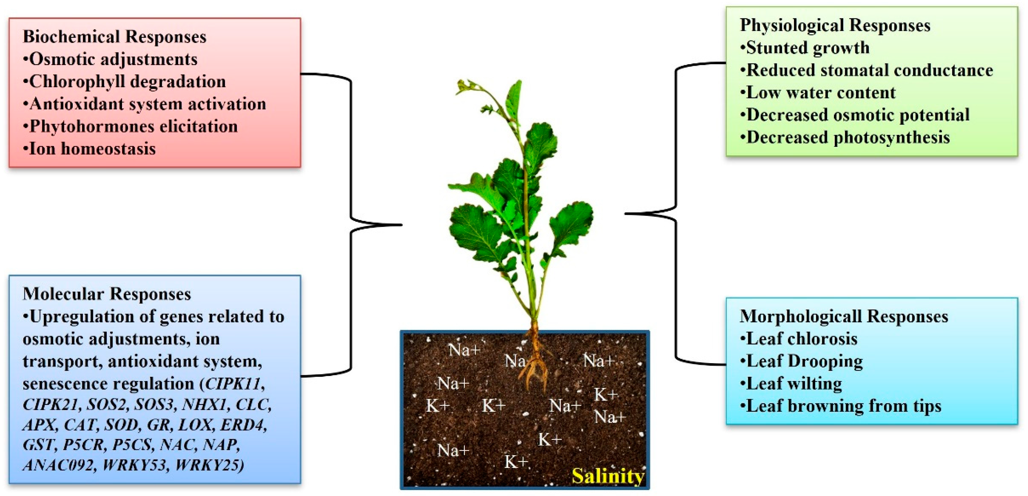 Life 13 00088 g003 Life 13 00088 g003