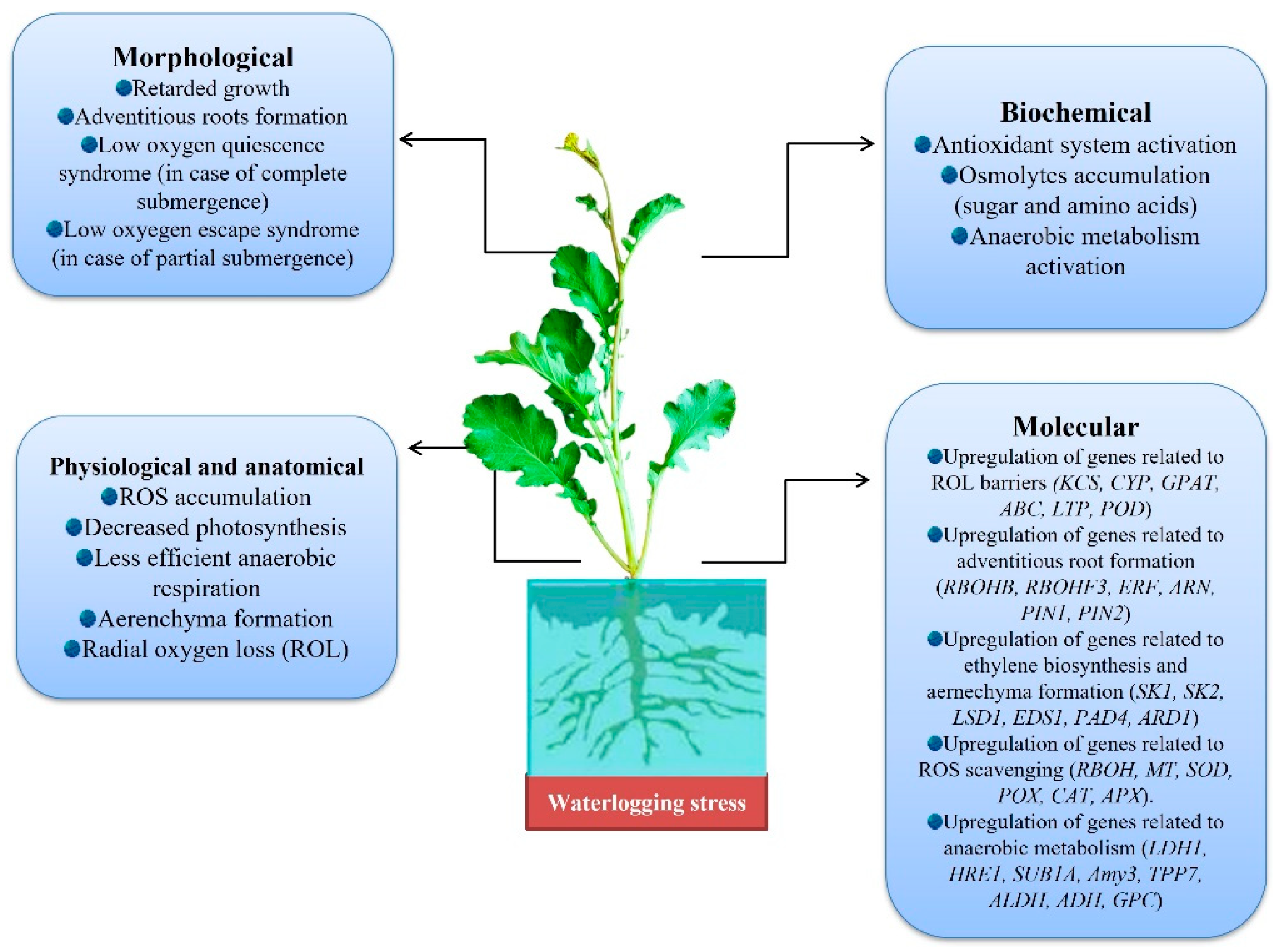 Life 13 00088 g004 Life 13 00088 g004