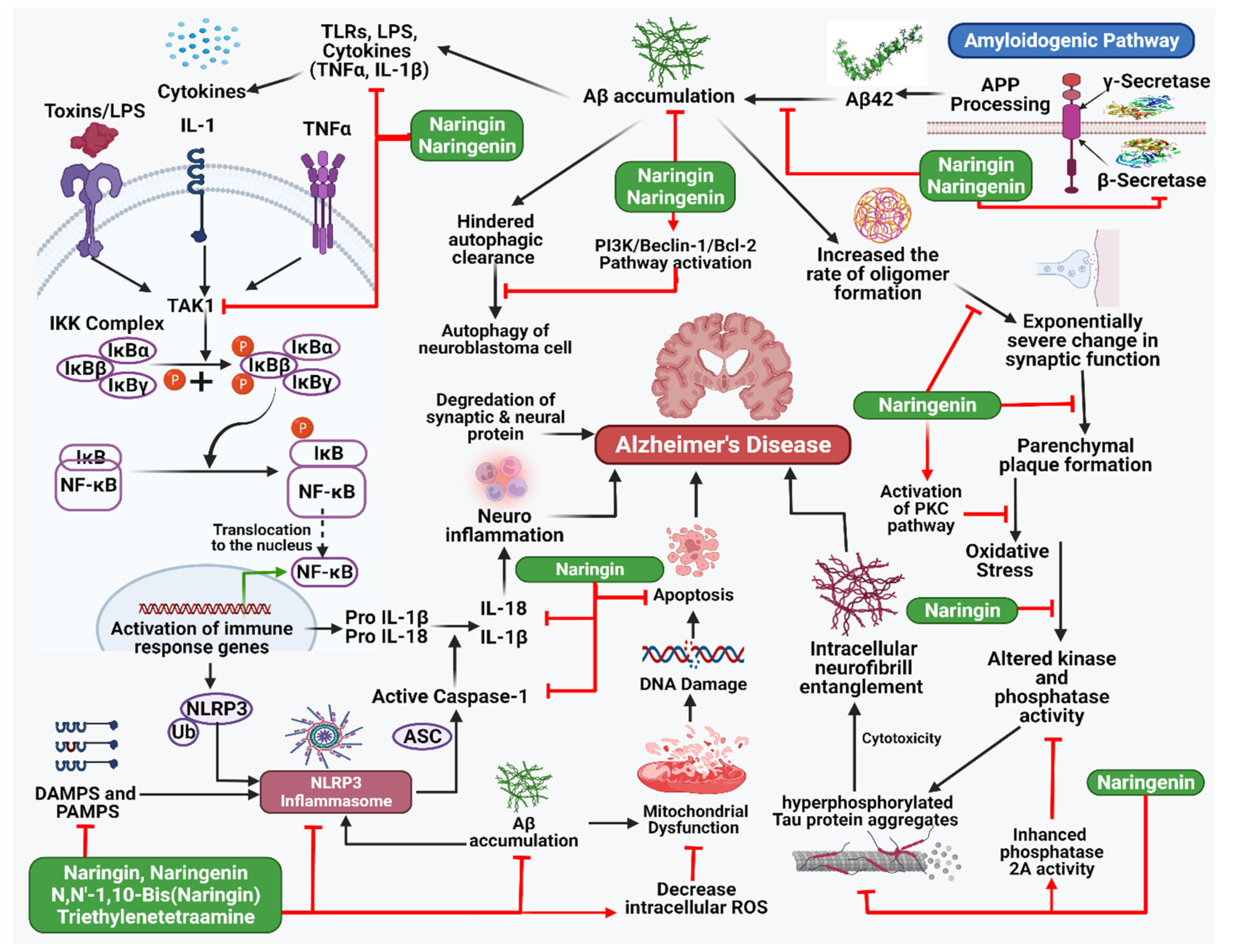 Life 13 00099 g002 Life 13 00099 g002