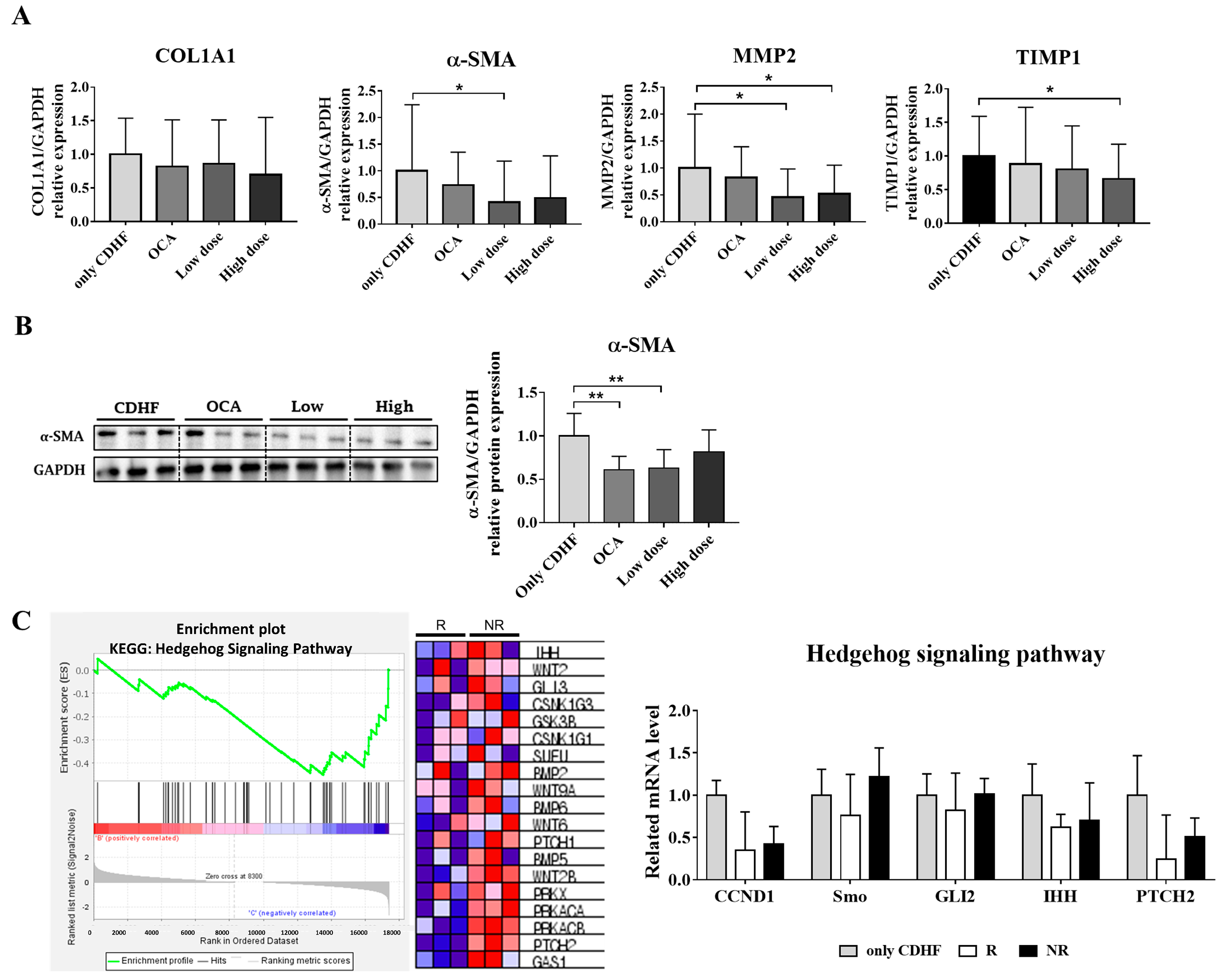 Life 13 00100 g003 Life 13 00100 g003