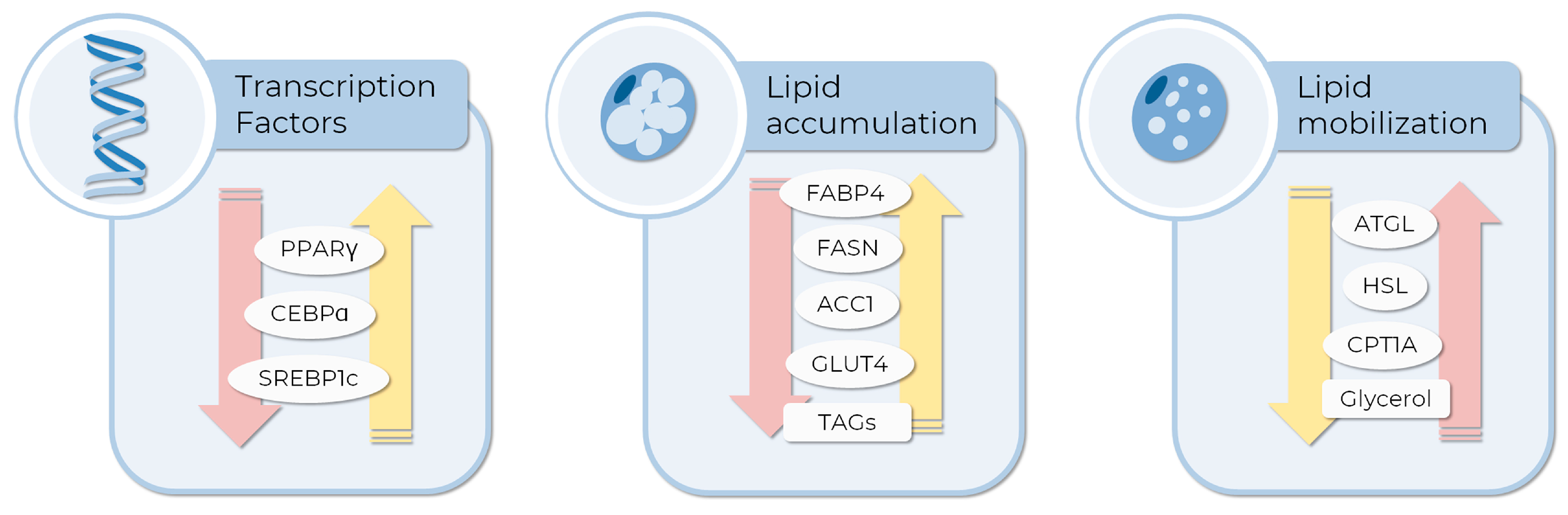 Life 13 00108 g002 Life 13 00108 g002