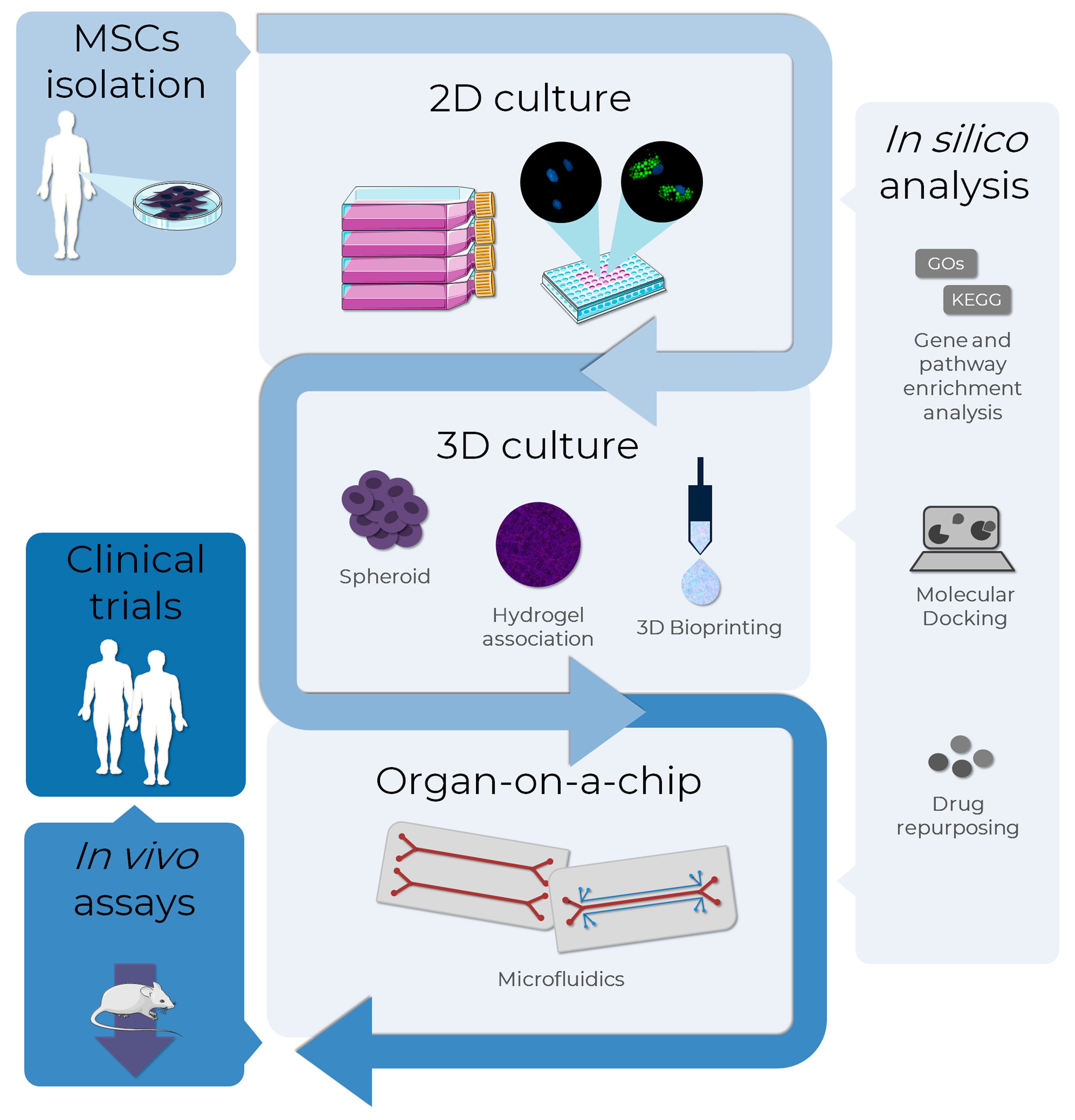 Life 13 00108 g005 Life 13 00108 g005