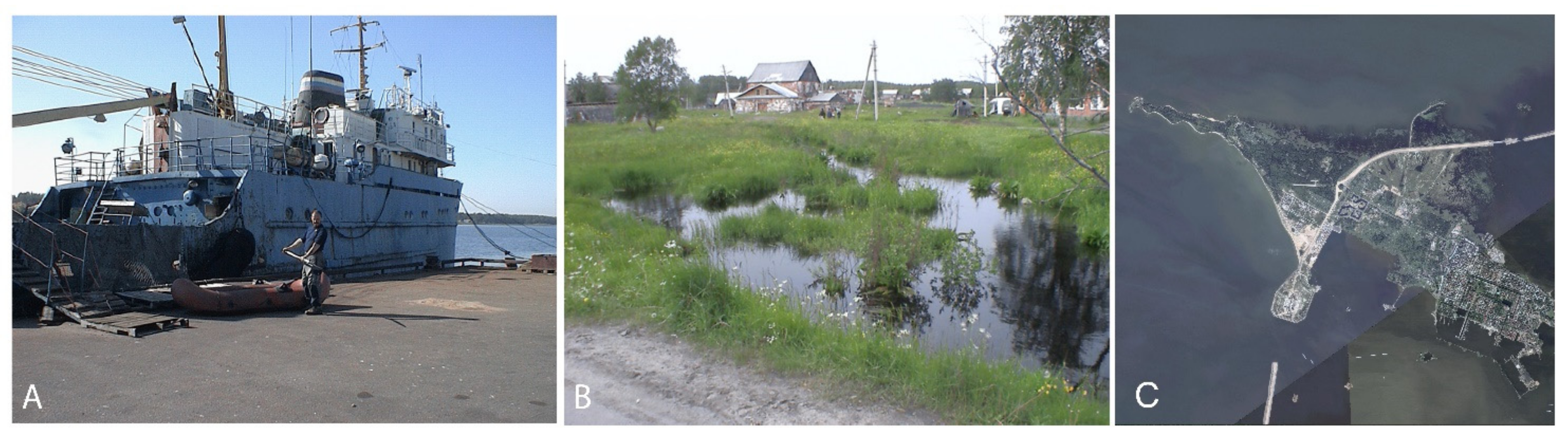 Life 13 00117 g003 Life 13 00117 g003