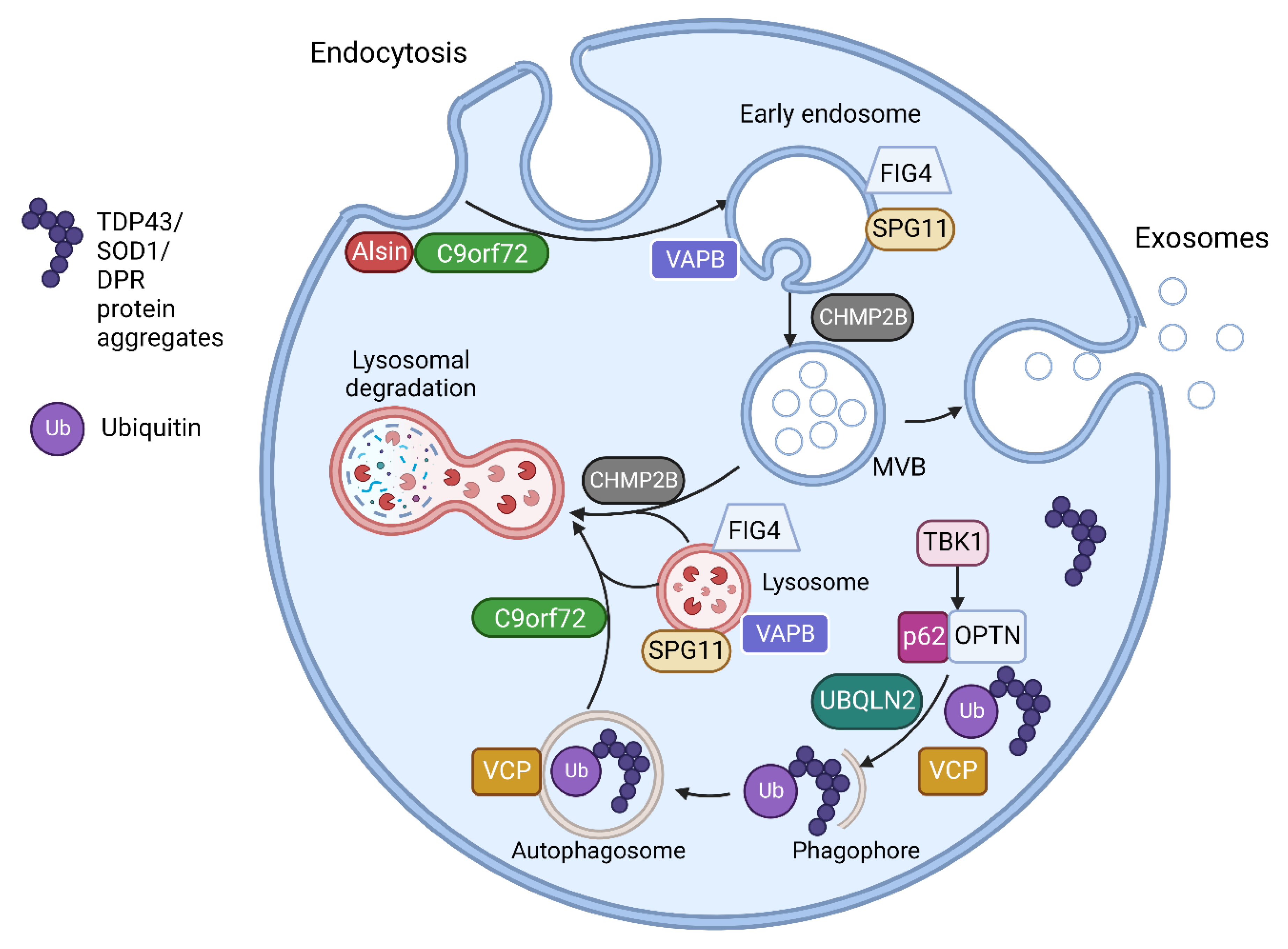 Life 13 00121 g002 Life 13 00121 g002