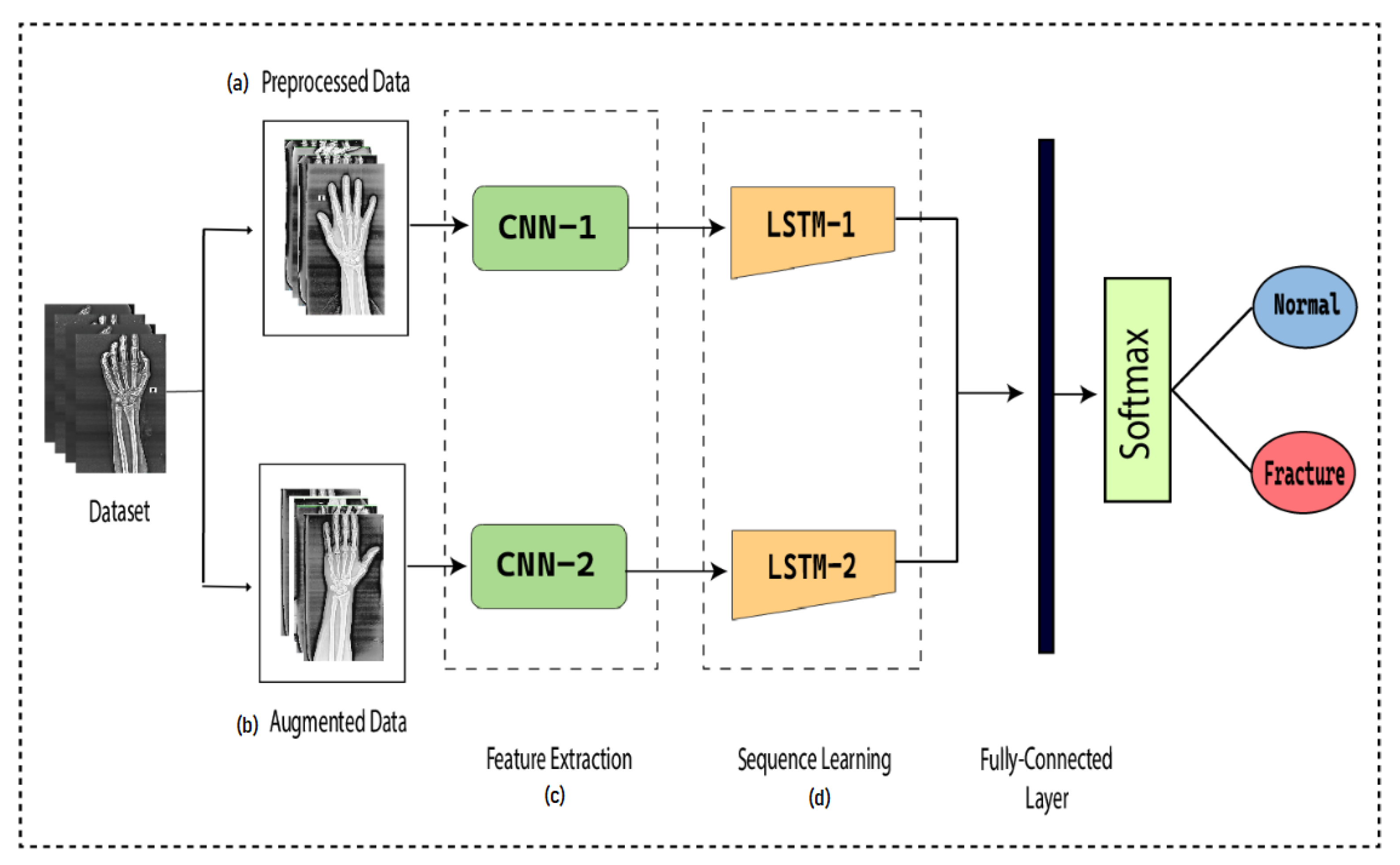 Life 13 00133 g002 Life 13 00133 g002
