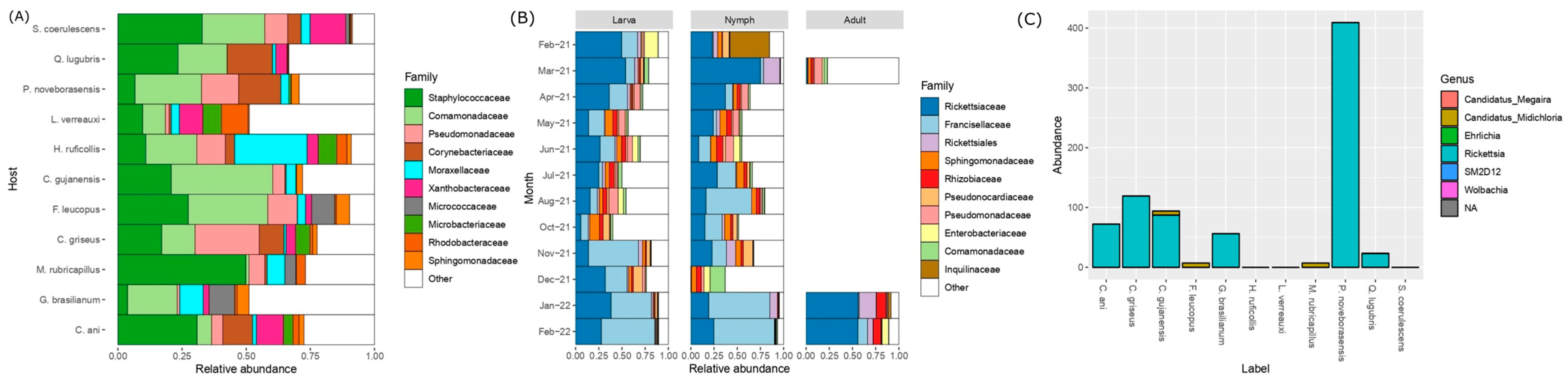 Life 13 00145 g003 Life 13 00145 g003