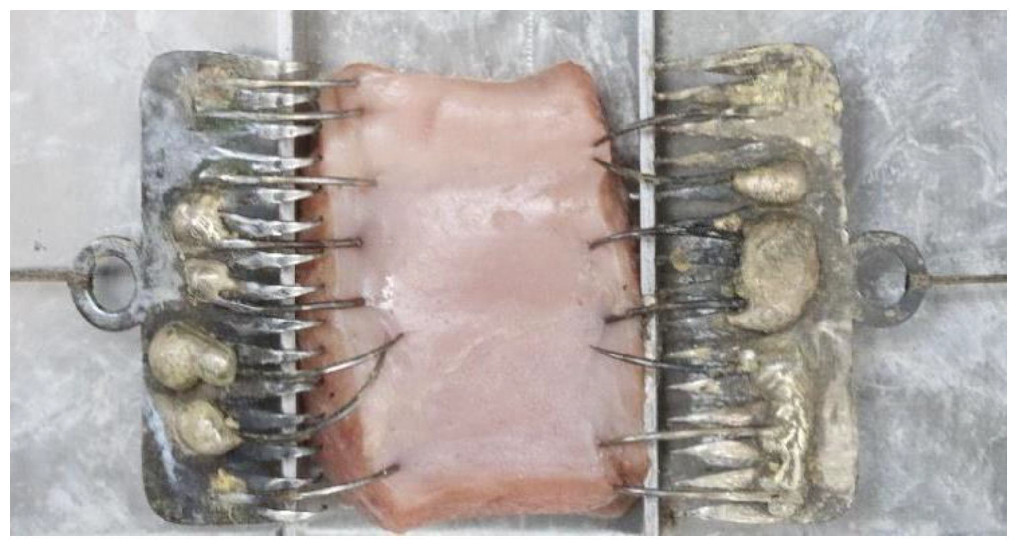 Life 13 00162 g001 Life 13 00162 g001