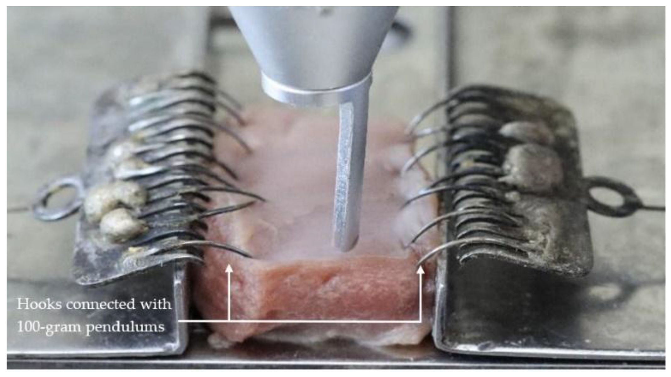 Life 13 00162 g003 Life 13 00162 g003