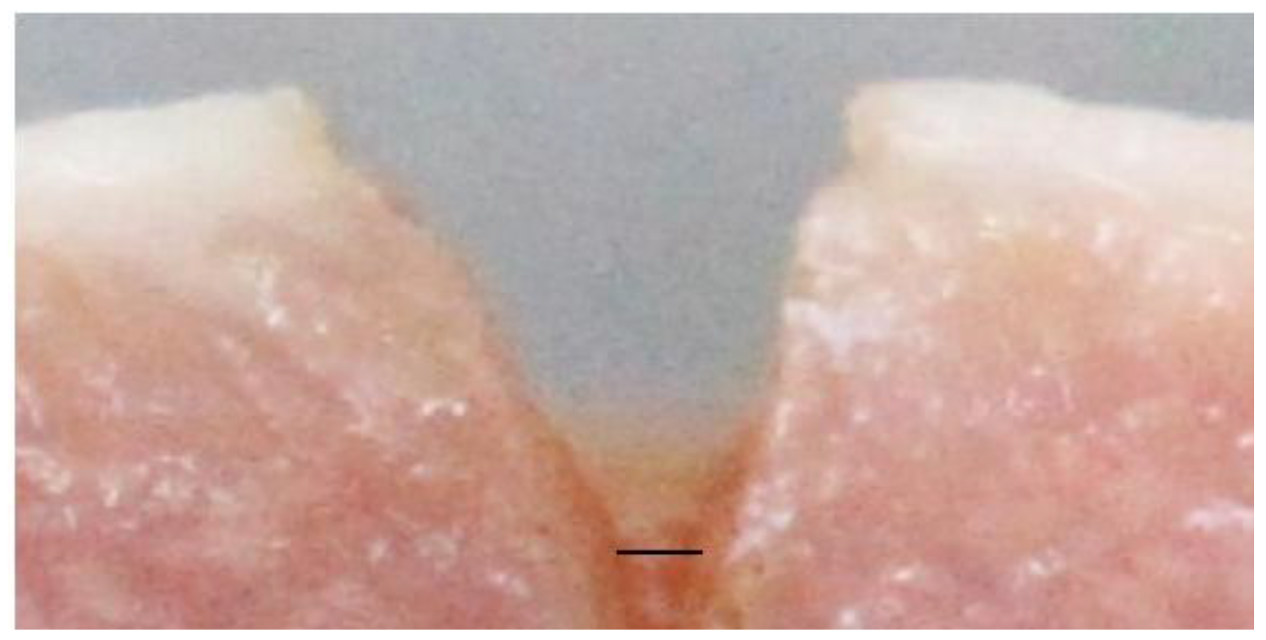 Life 13 00162 g006 Life 13 00162 g006