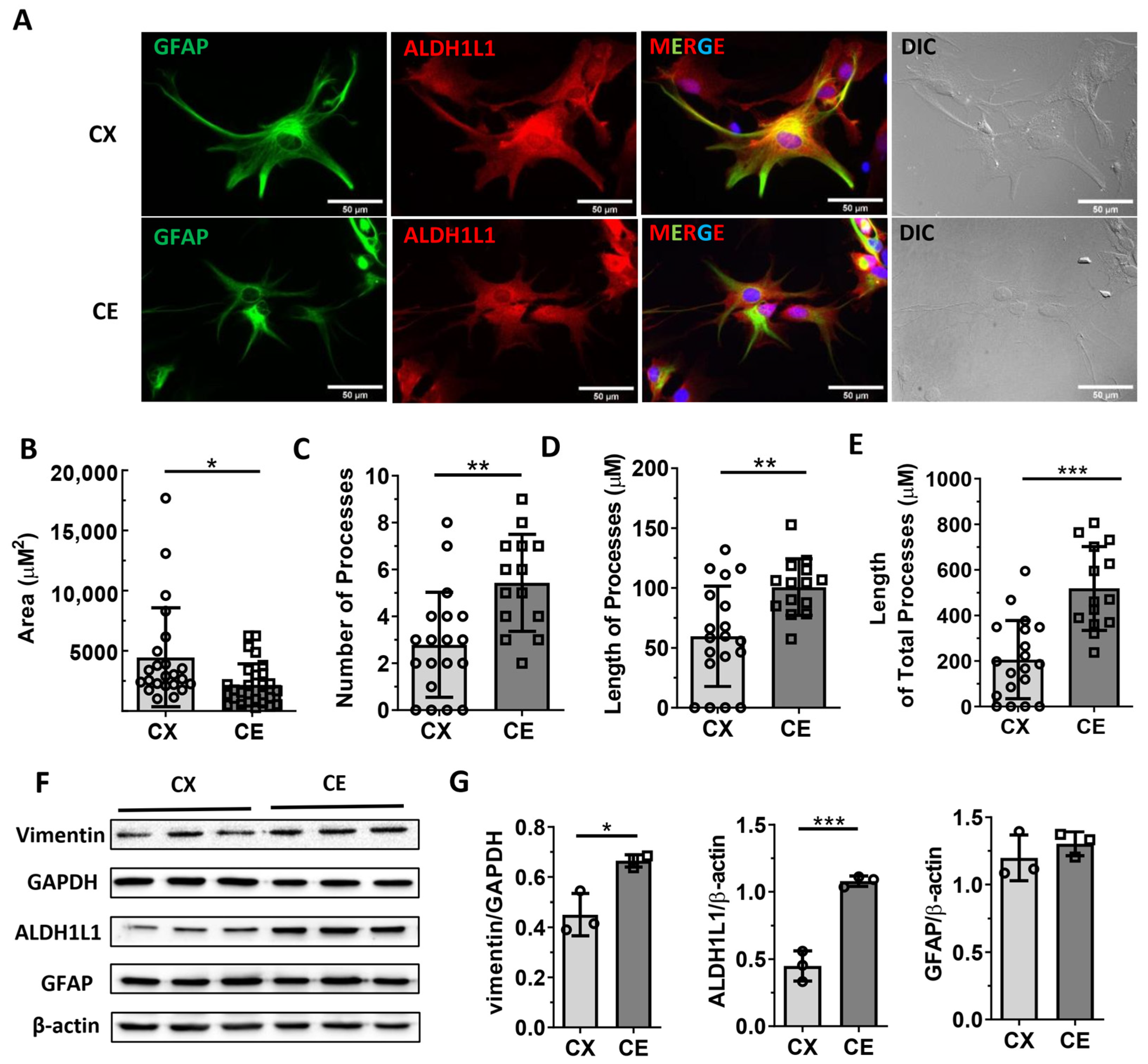 Life 13 00184 g002 Life 13 00184 g002