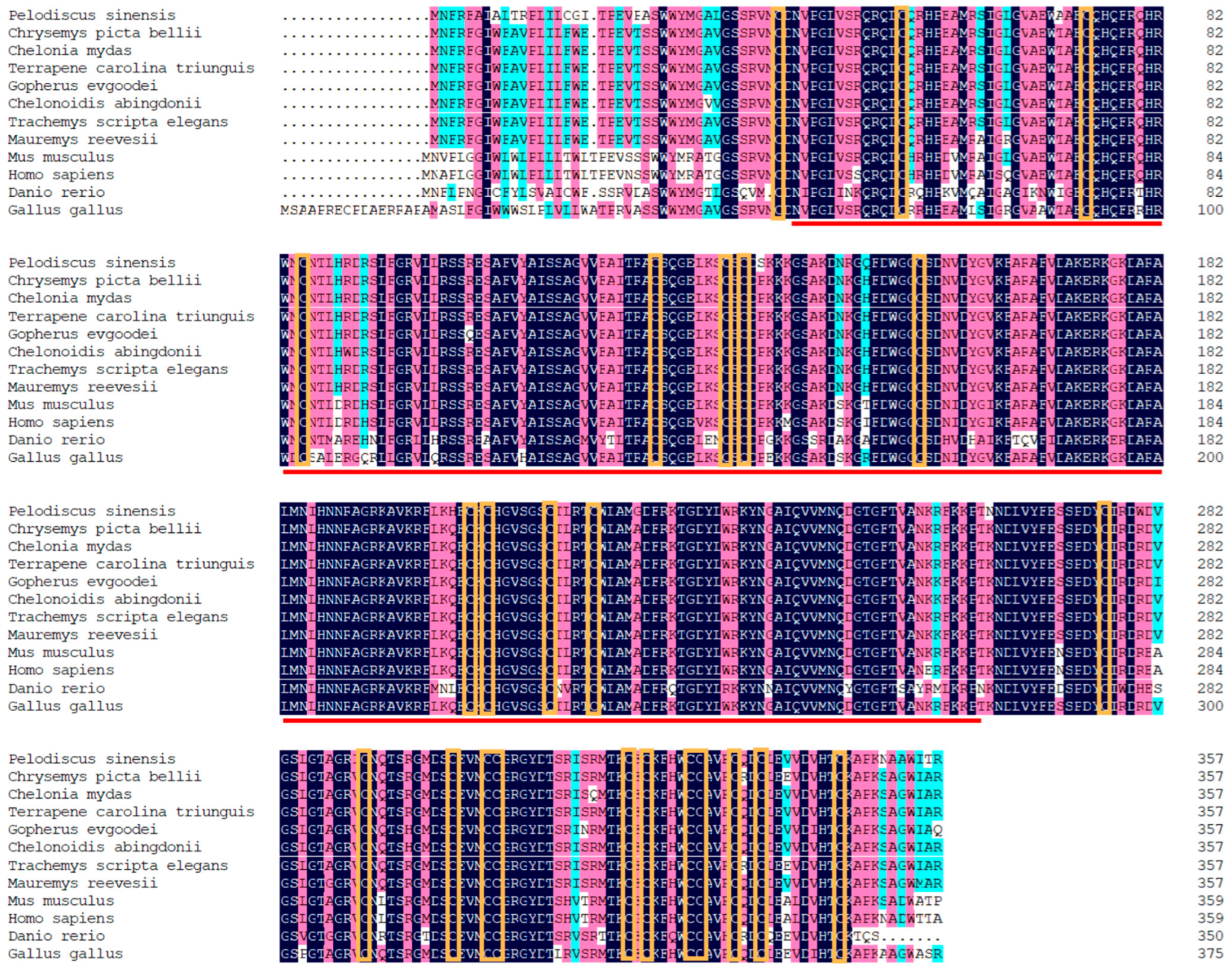 Life 13 00188 g002 Life 13 00188 g002