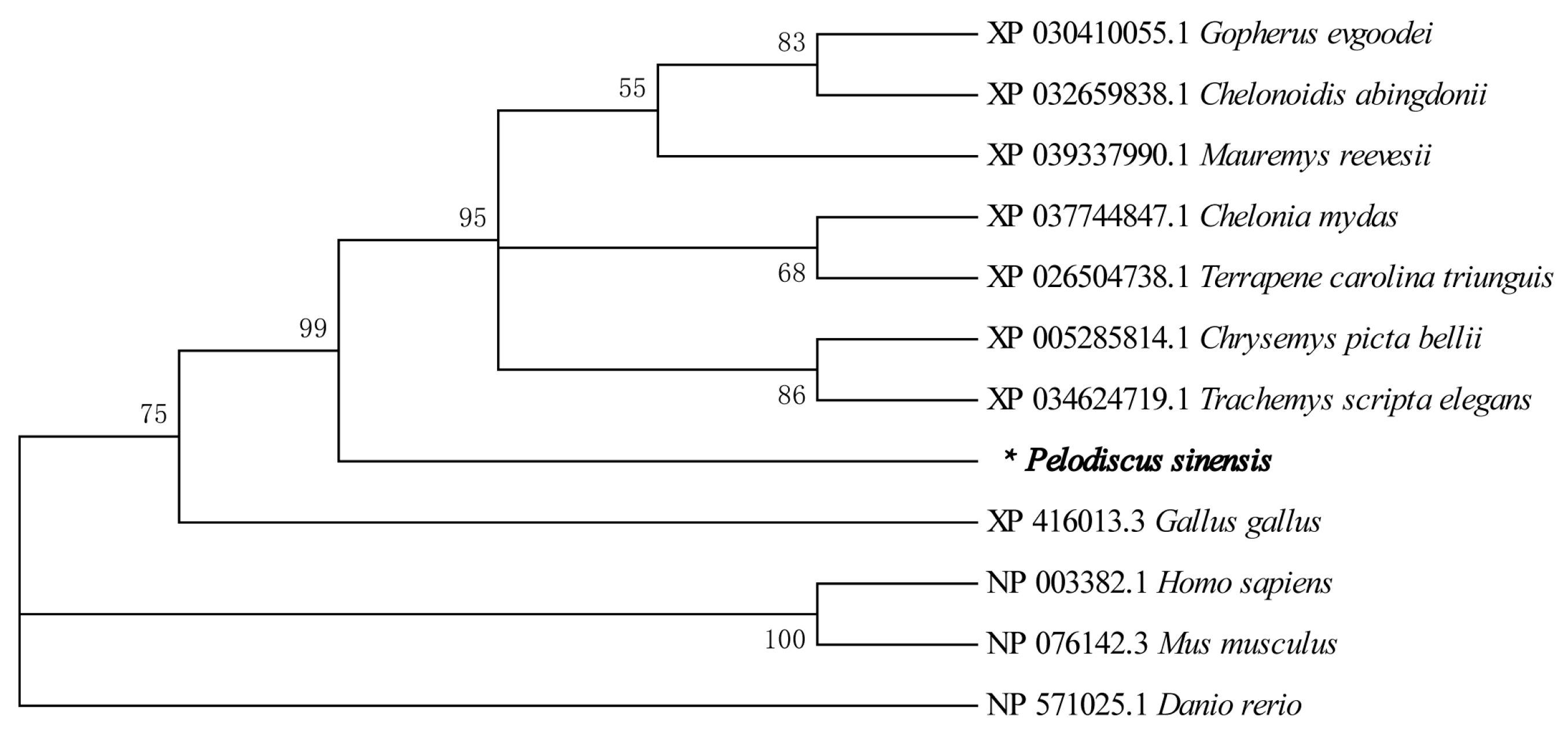 Life 13 00188 g003 Life 13 00188 g003
