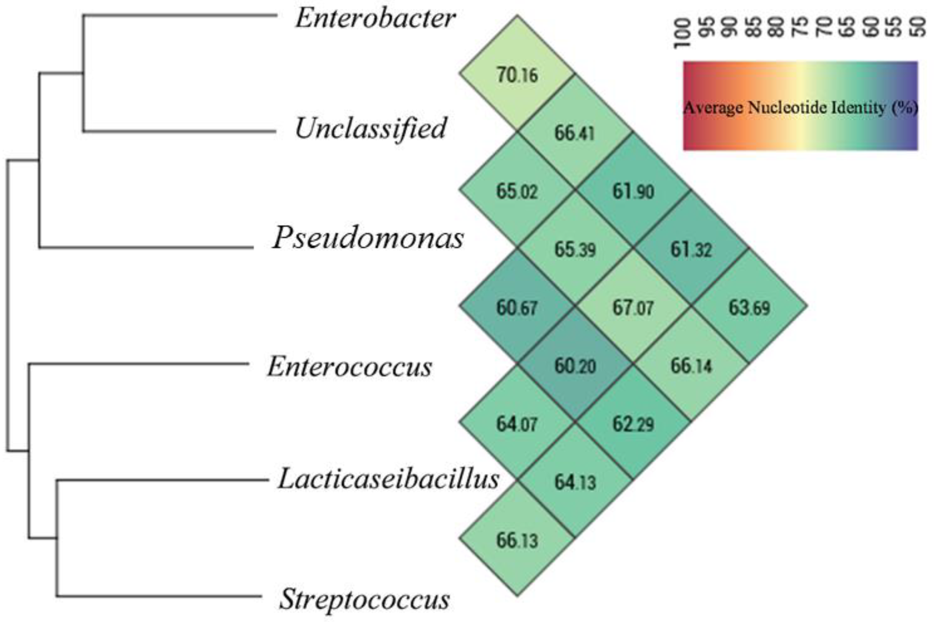 Life 13 00194 g003 Life 13 00194 g003