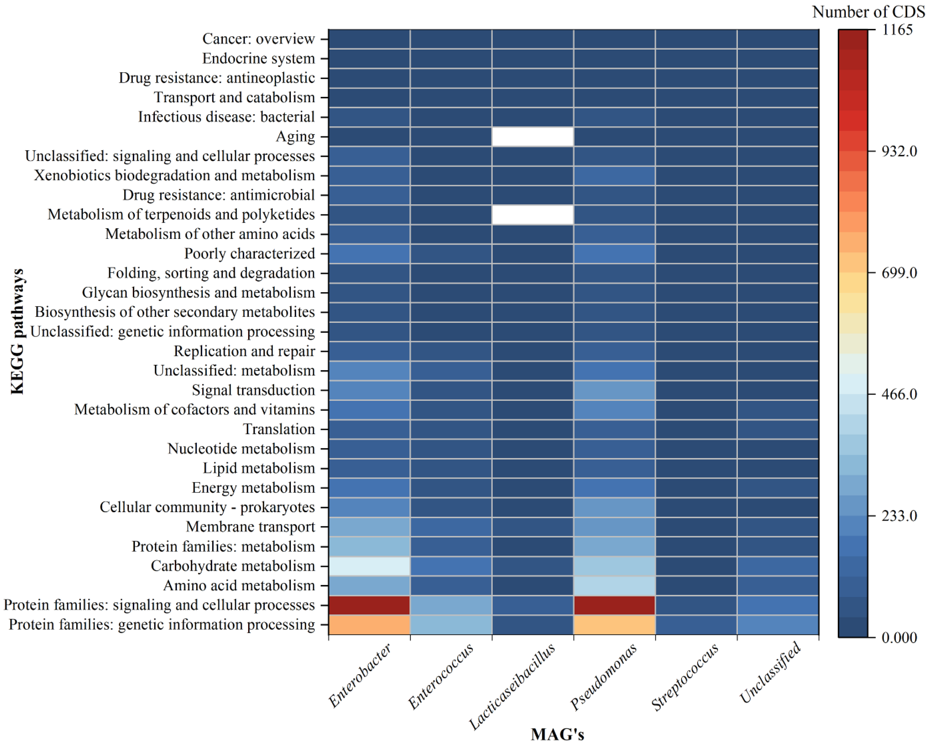 Life 13 00194 g004 Life 13 00194 g004