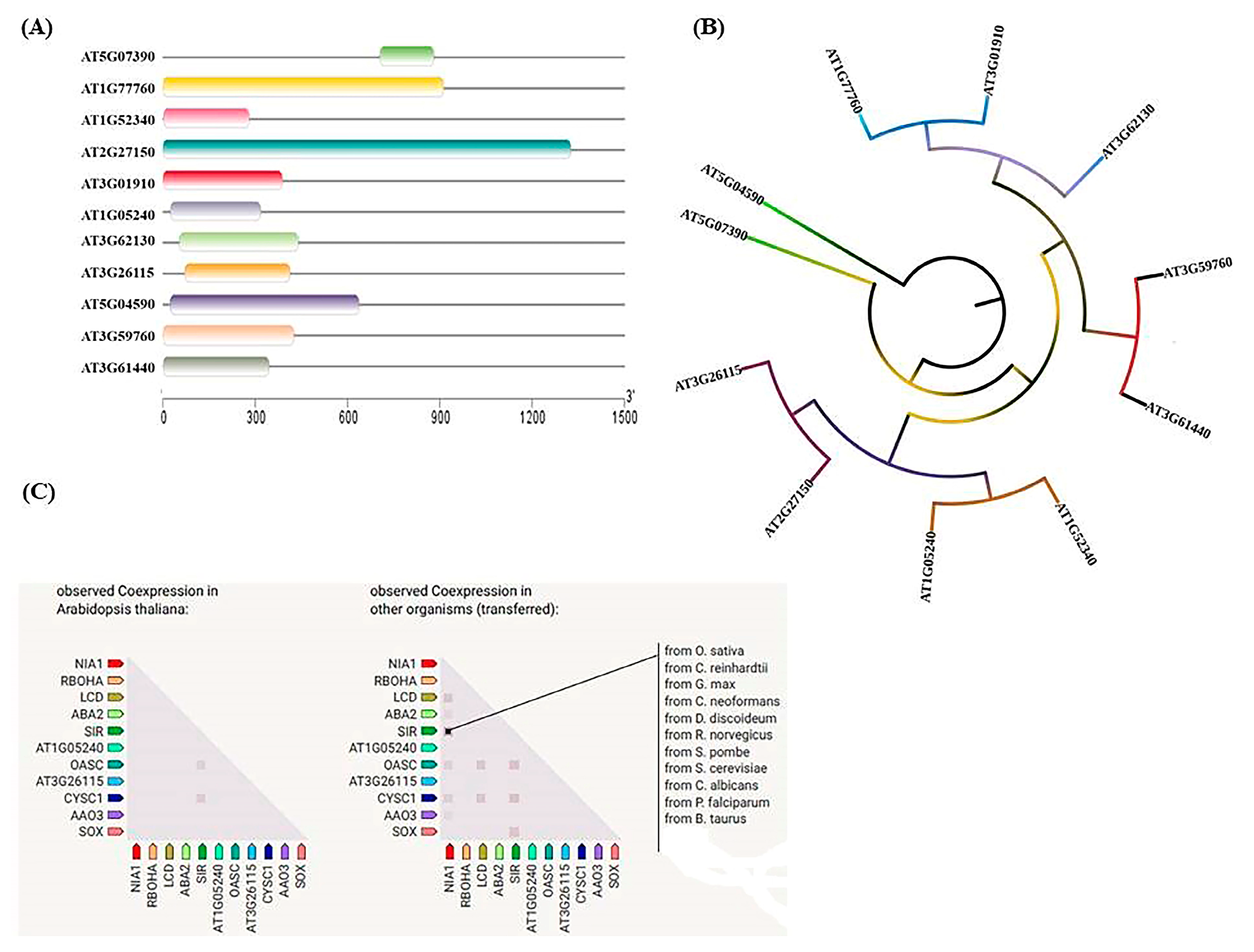 Life 13 00204 g002 Life 13 00204 g002