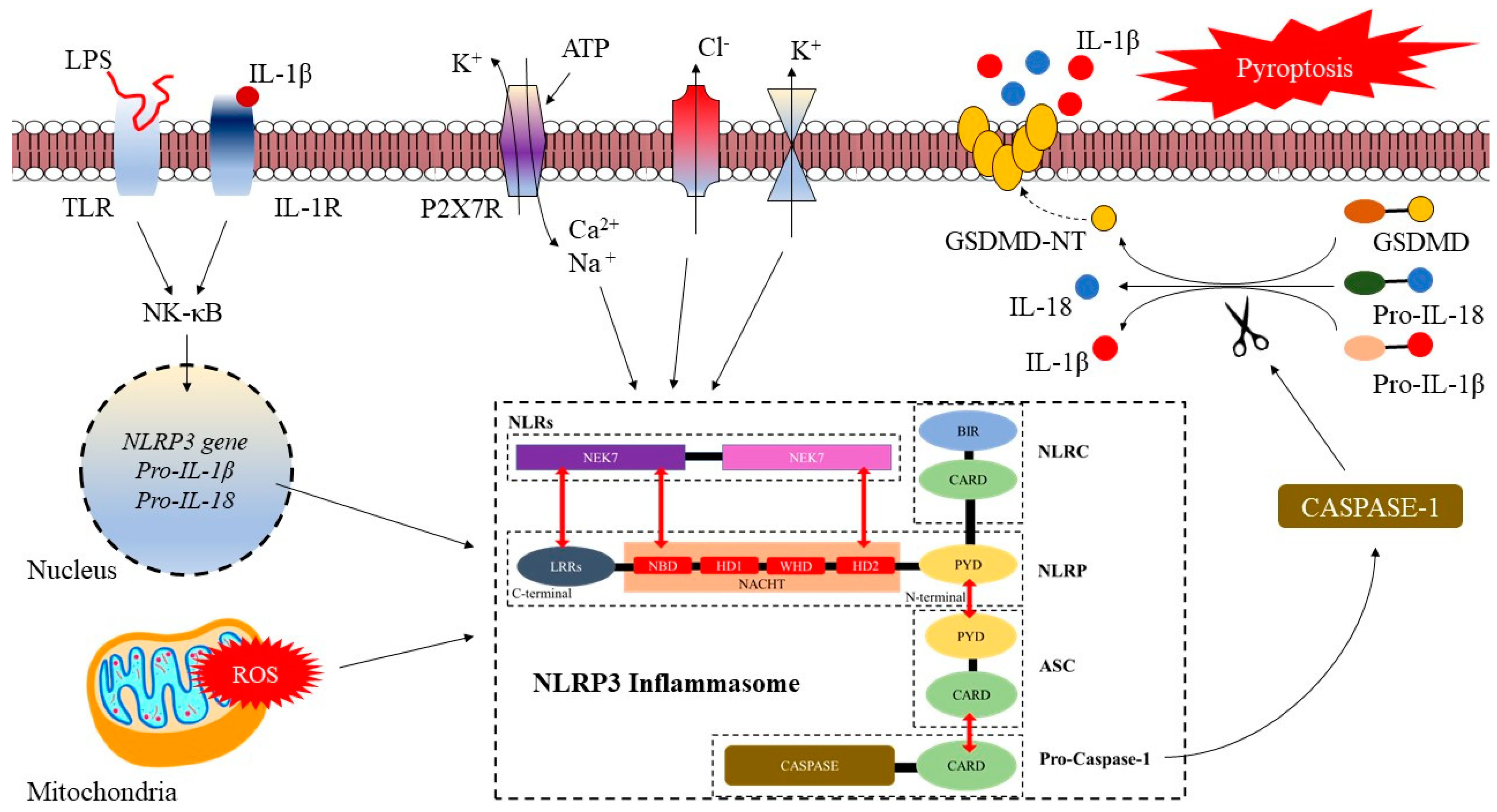 Life 13 00216 g002 Life 13 00216 g002