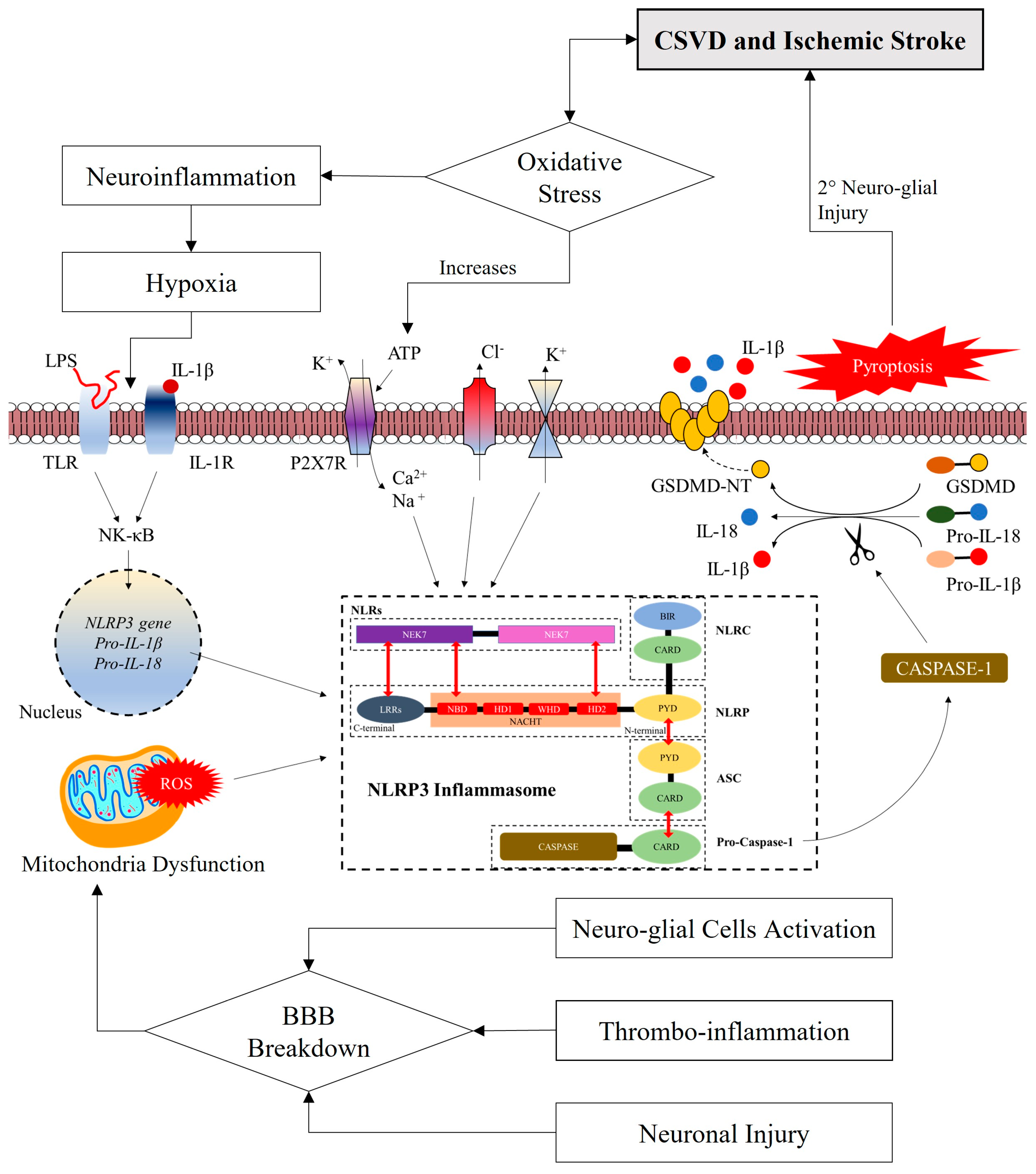 Life 13 00216 g003 Life 13 00216 g003