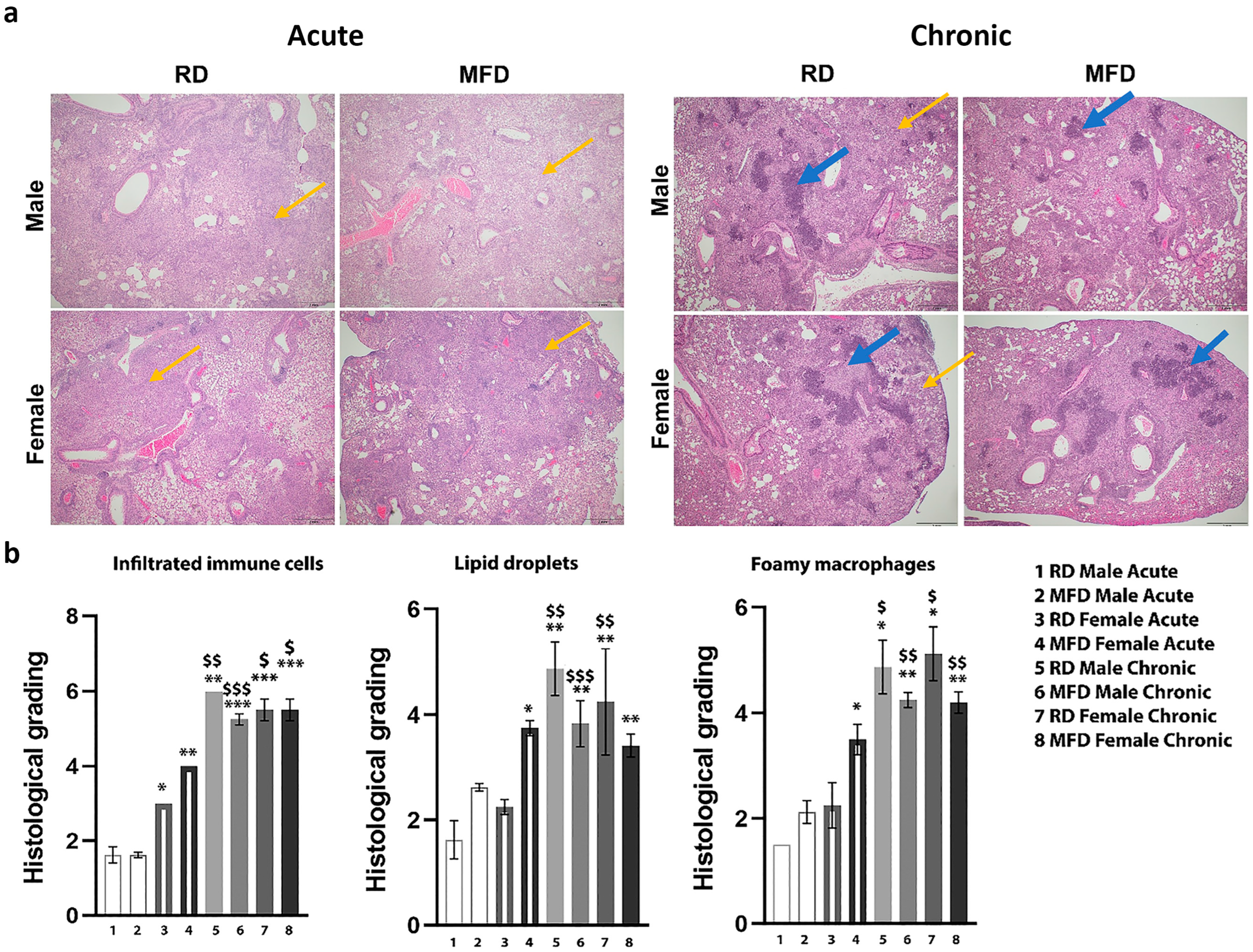 Life 13 00228 g001 Life 13 00228 g001