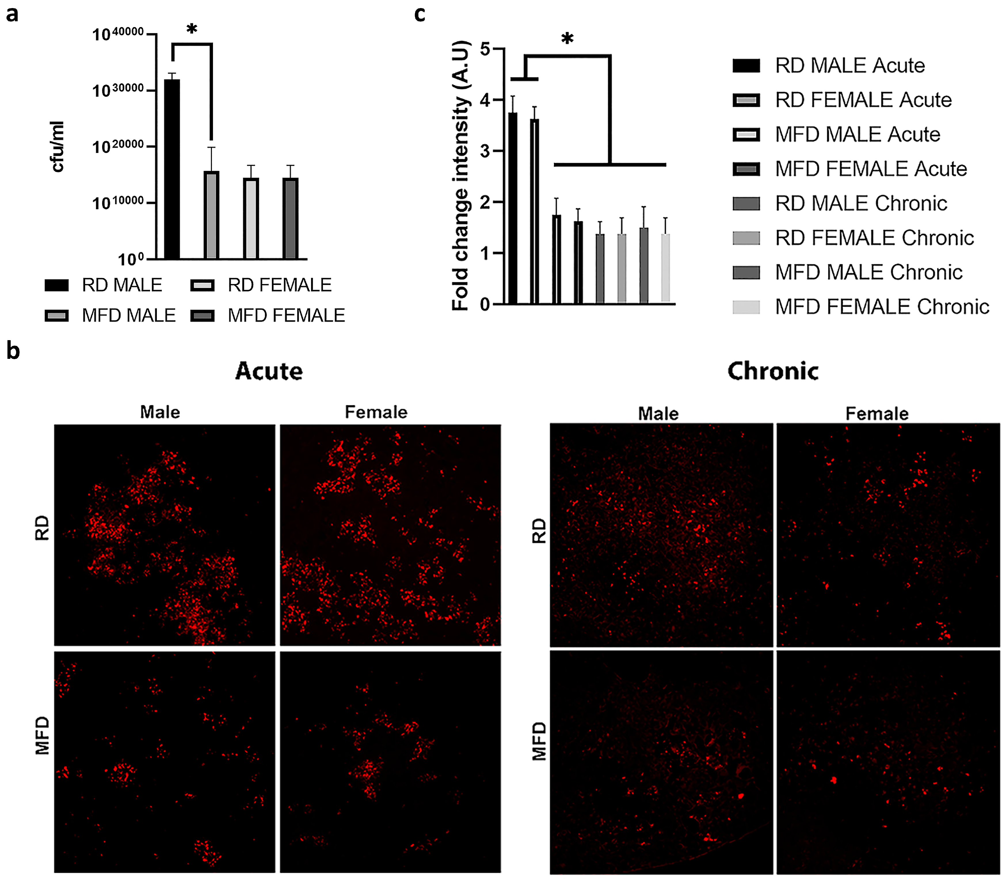 Life 13 00228 g002 Life 13 00228 g002