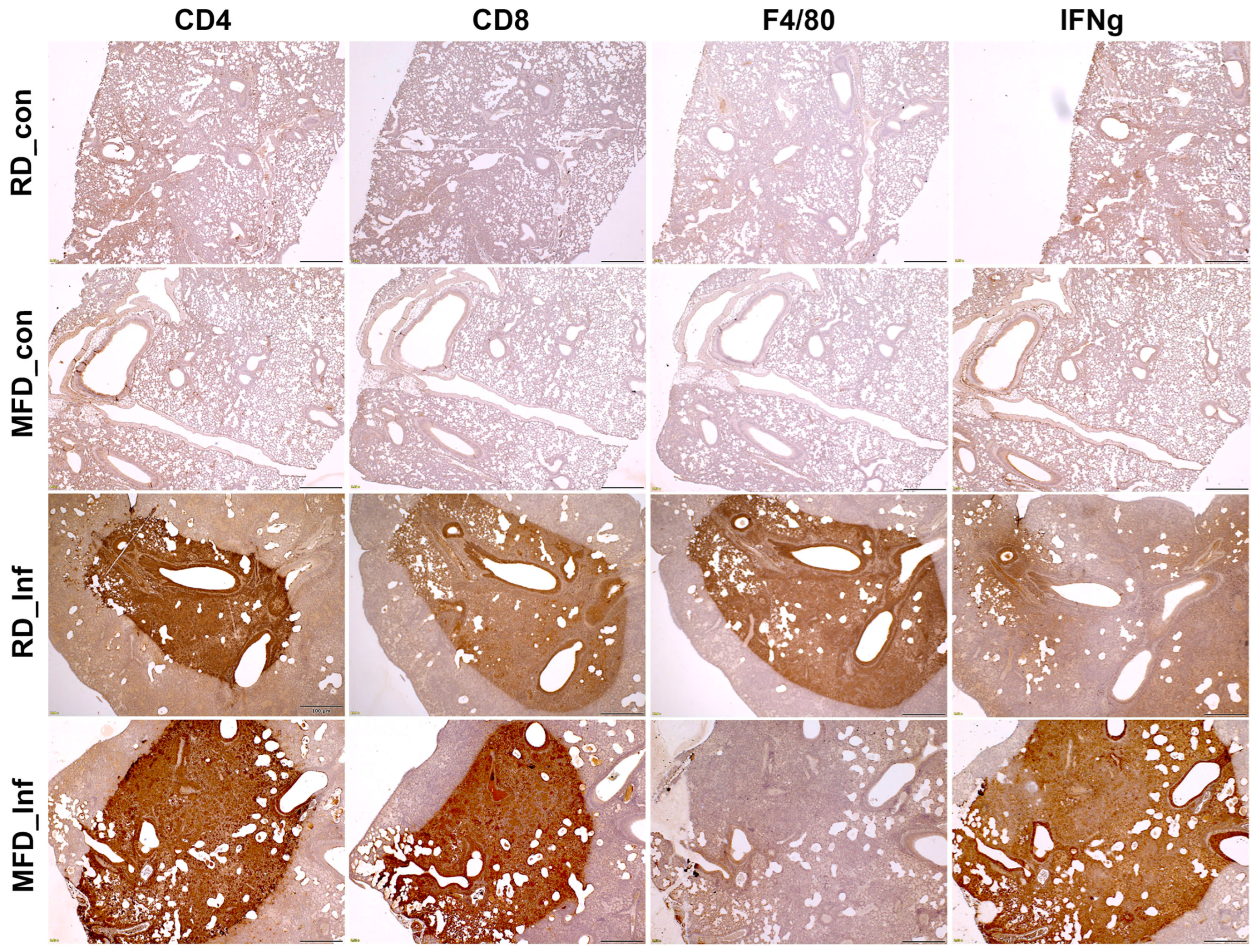 Life 13 00228 g003 Life 13 00228 g003