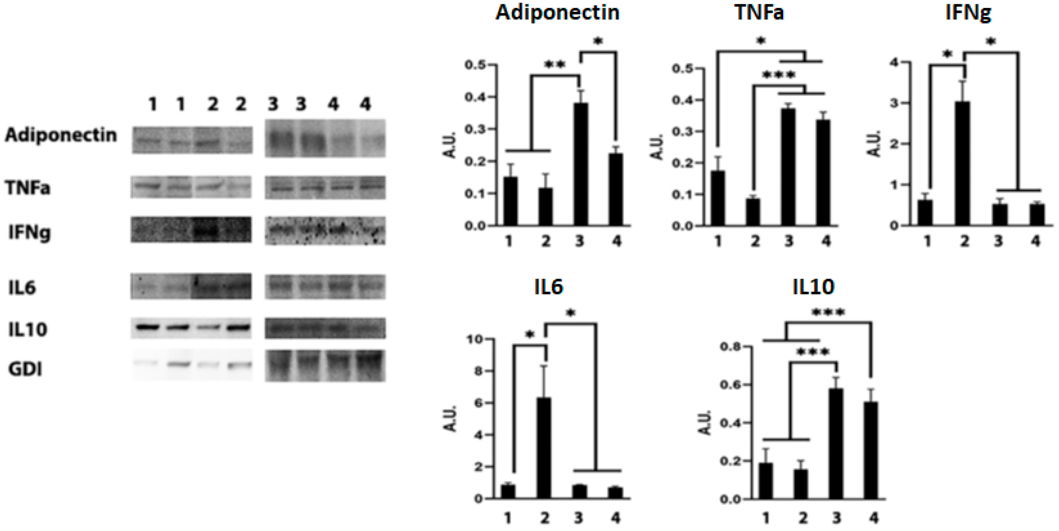 Life 13 00228 g010 Life 13 00228 g010