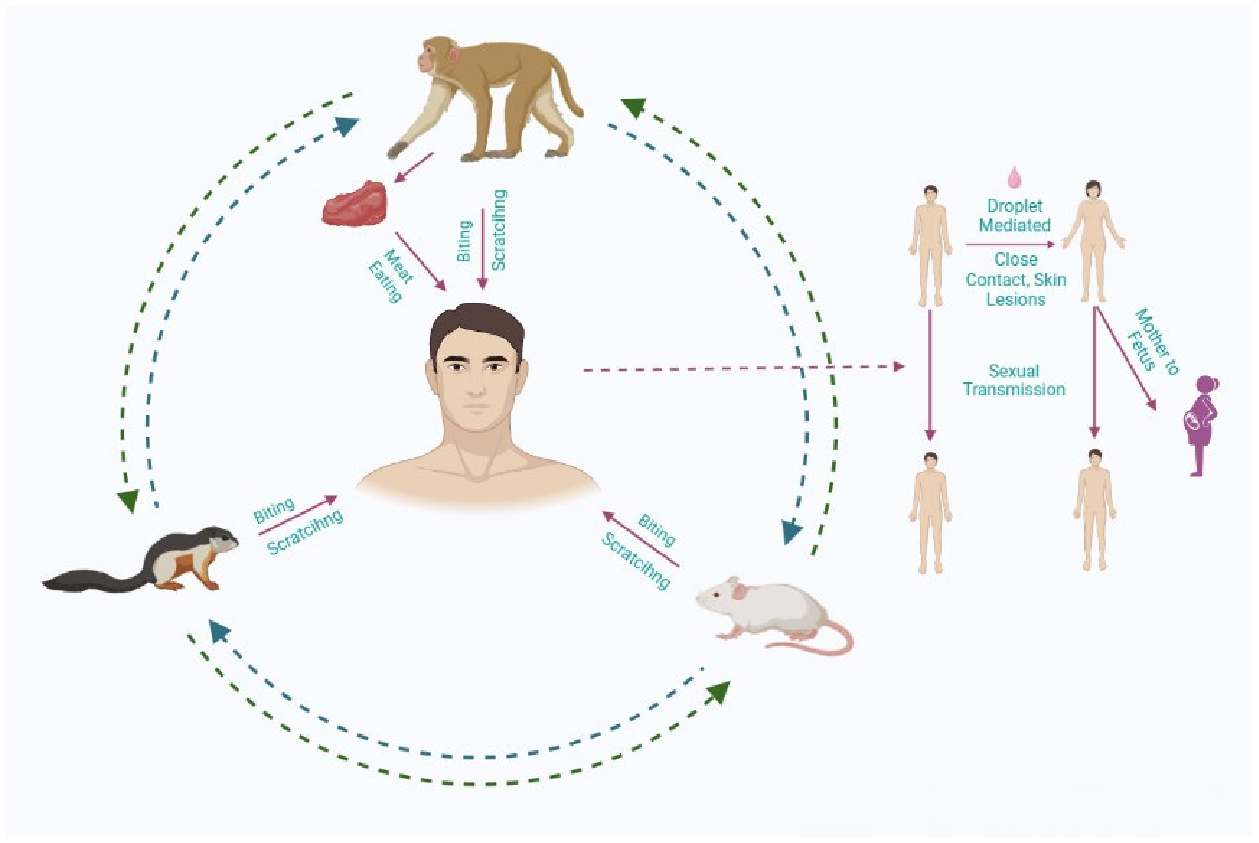 Life 13 00249 g002 Life 13 00249 g002