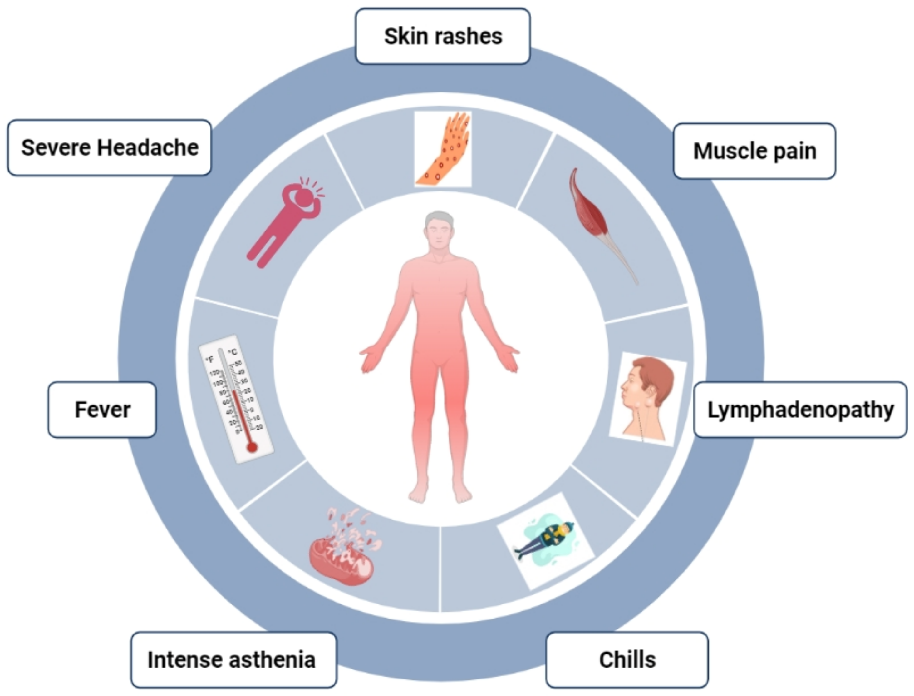 Life 13 00249 g003 Life 13 00249 g003