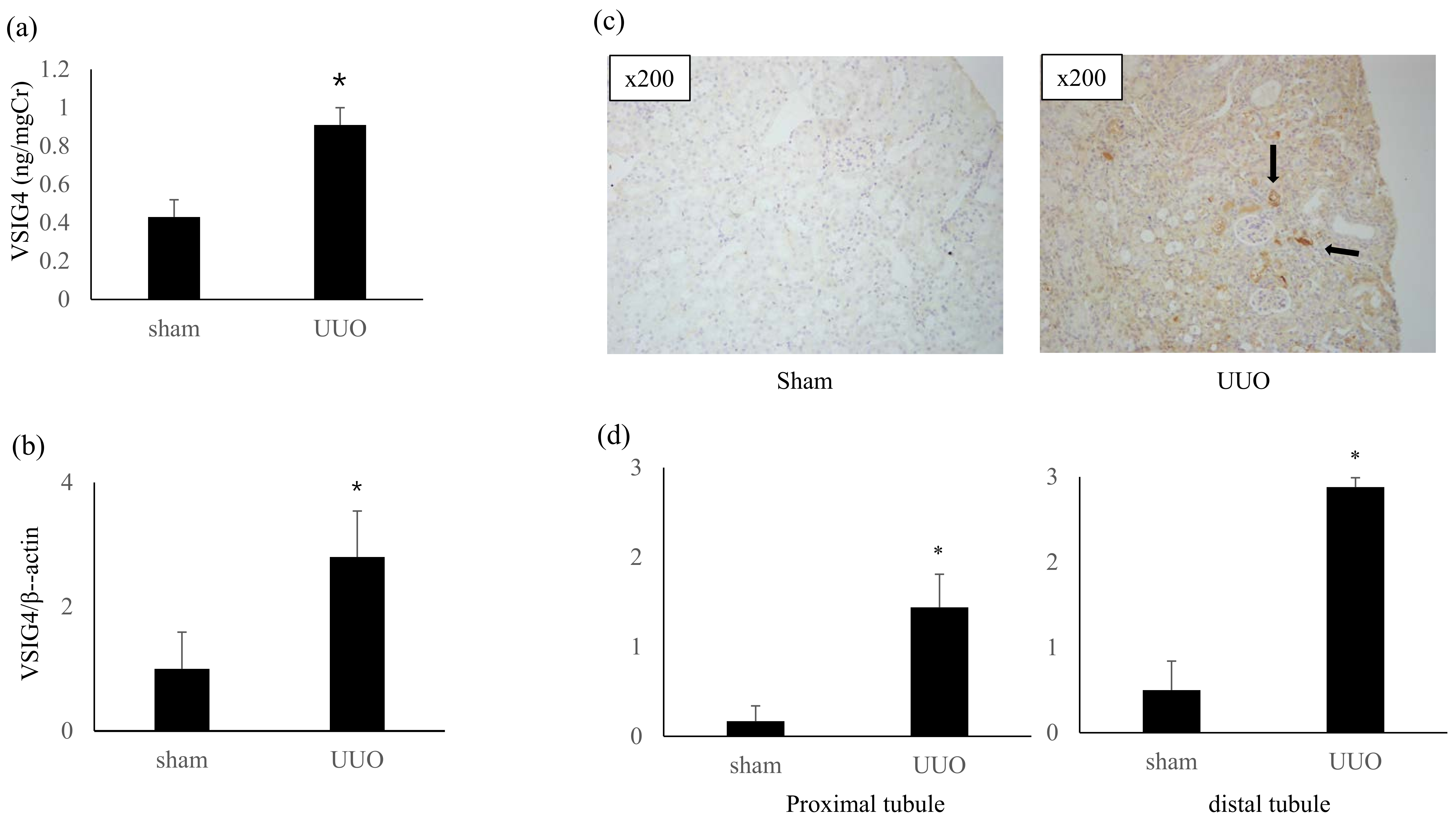 Life 13 00277 g001 Life 13 00277 g001