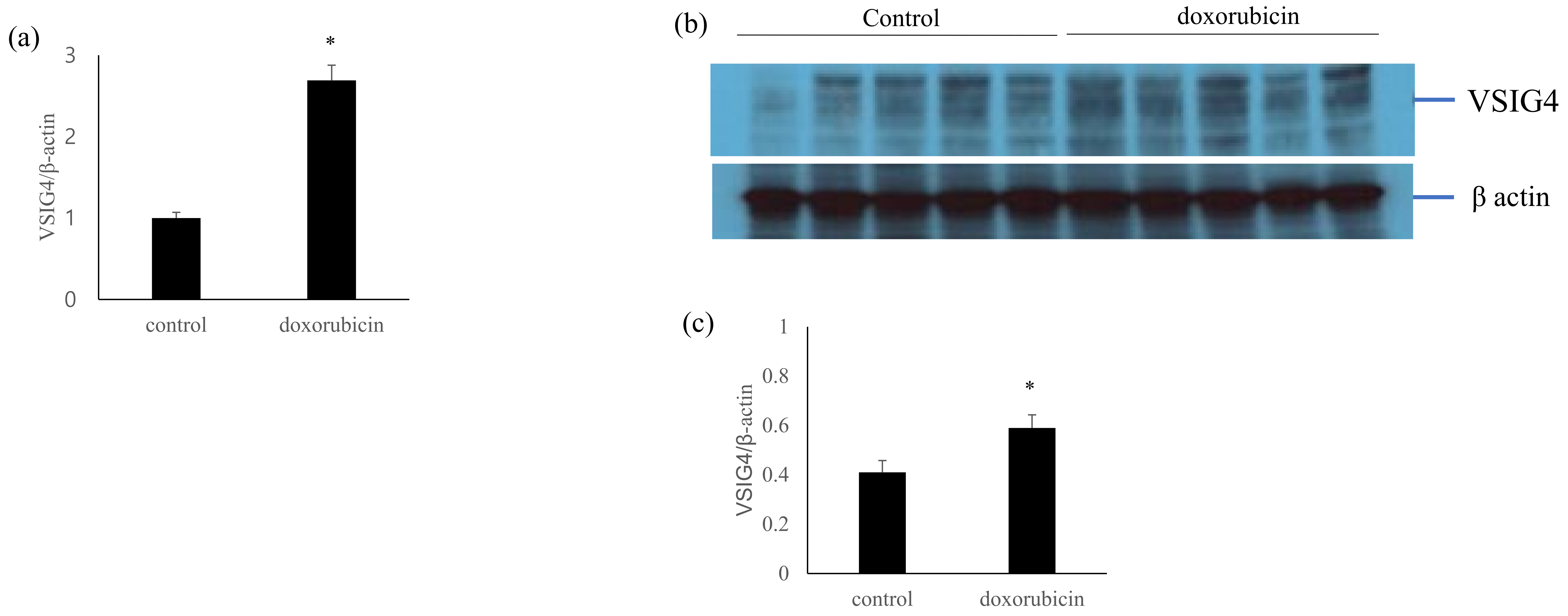 Life 13 00277 g003 Life 13 00277 g003