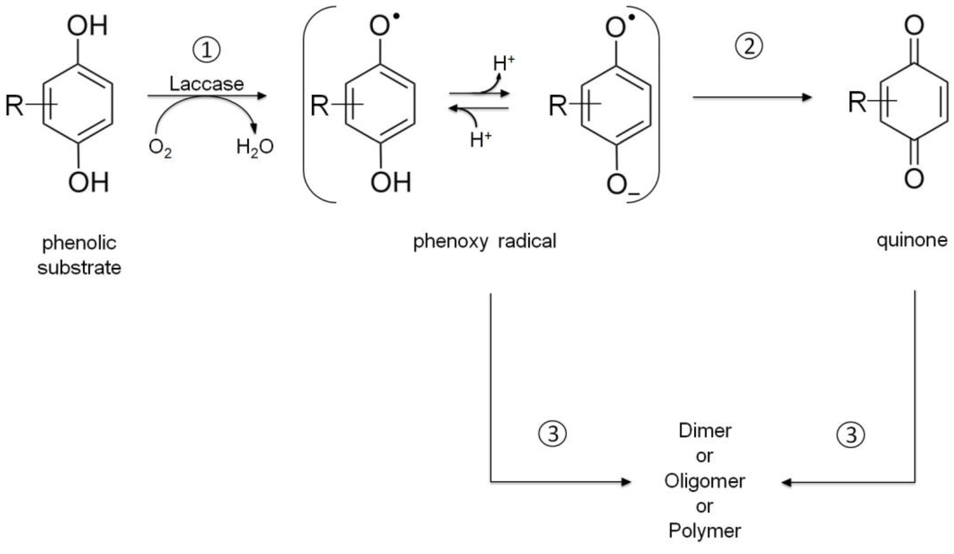 Life 13 00291 sch001