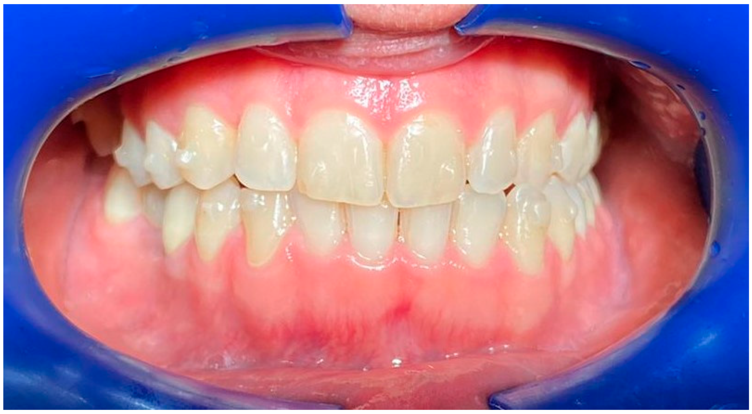 Life 13 00297 g002 Life 13 00297 g002