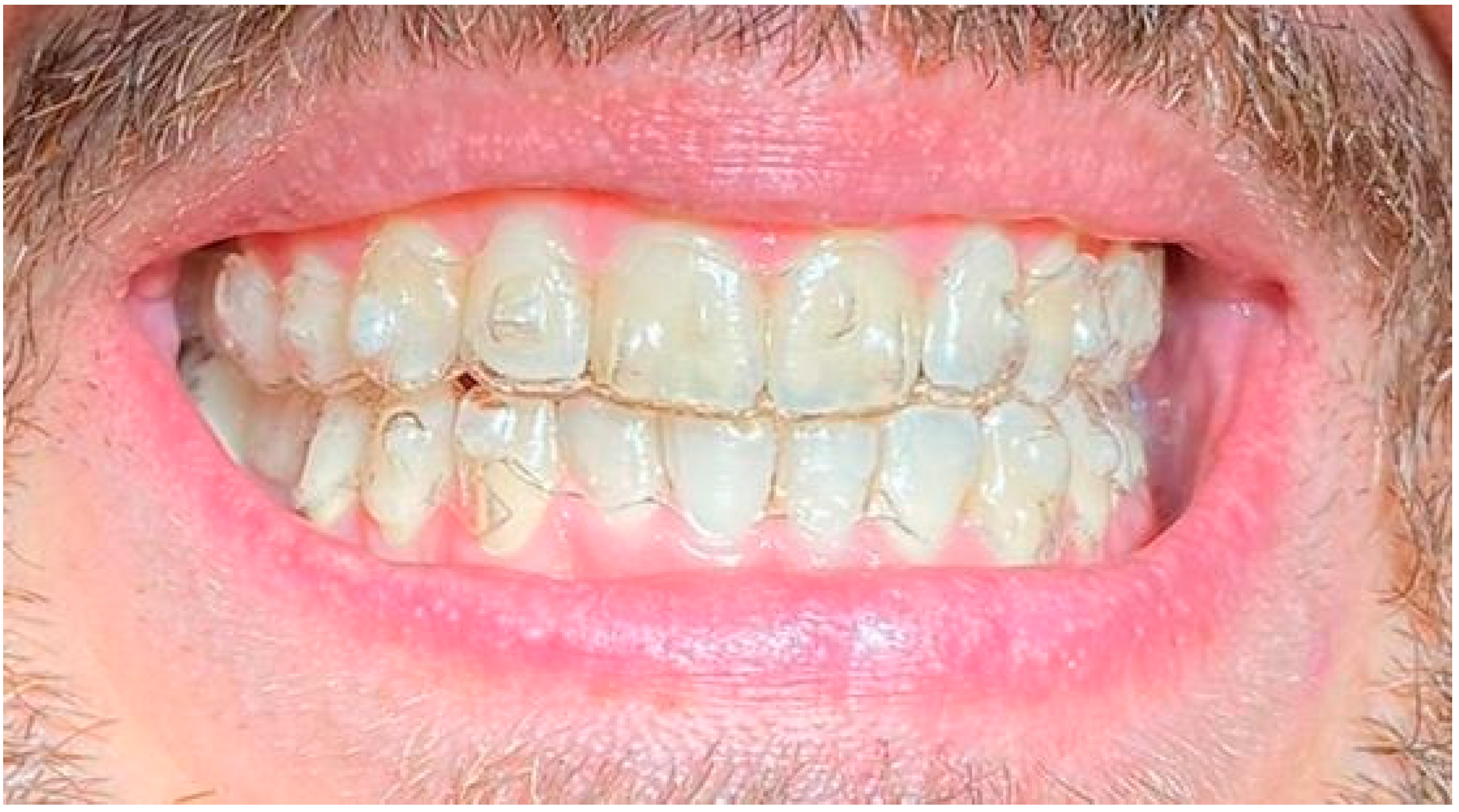 Life 13 00297 g011 Life 13 00297 g011