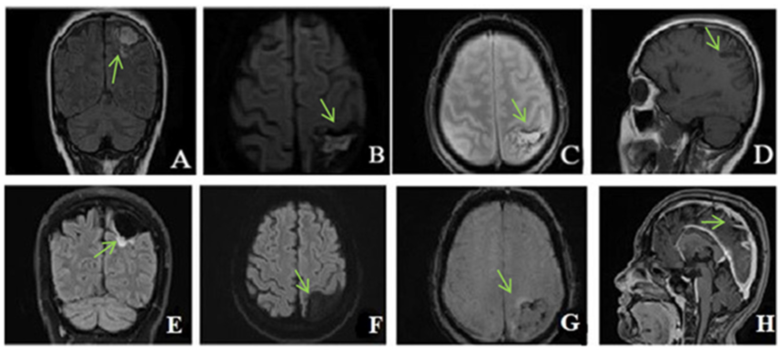 Life 13 00334 g003 Life 13 00334 g003