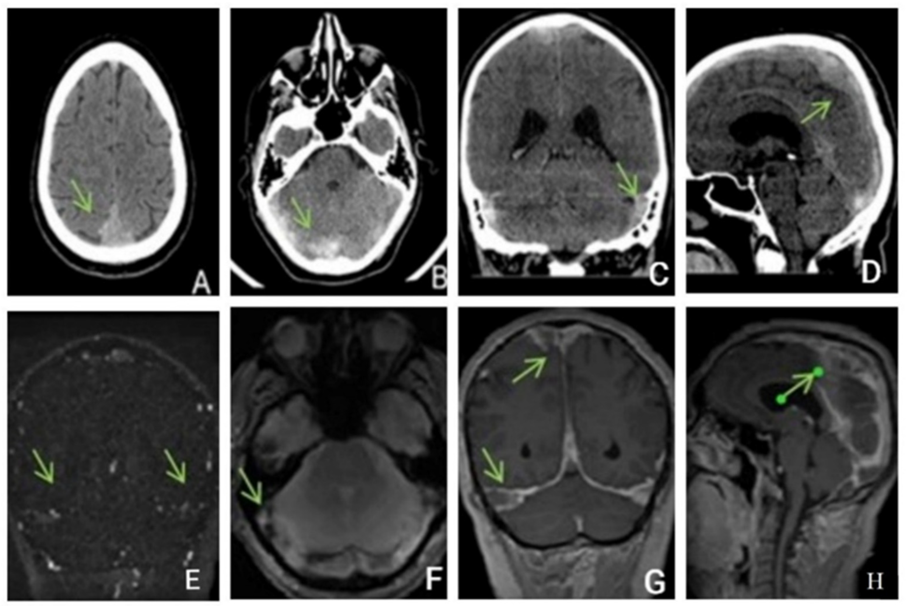 Life 13 00334 g004 Life 13 00334 g004
