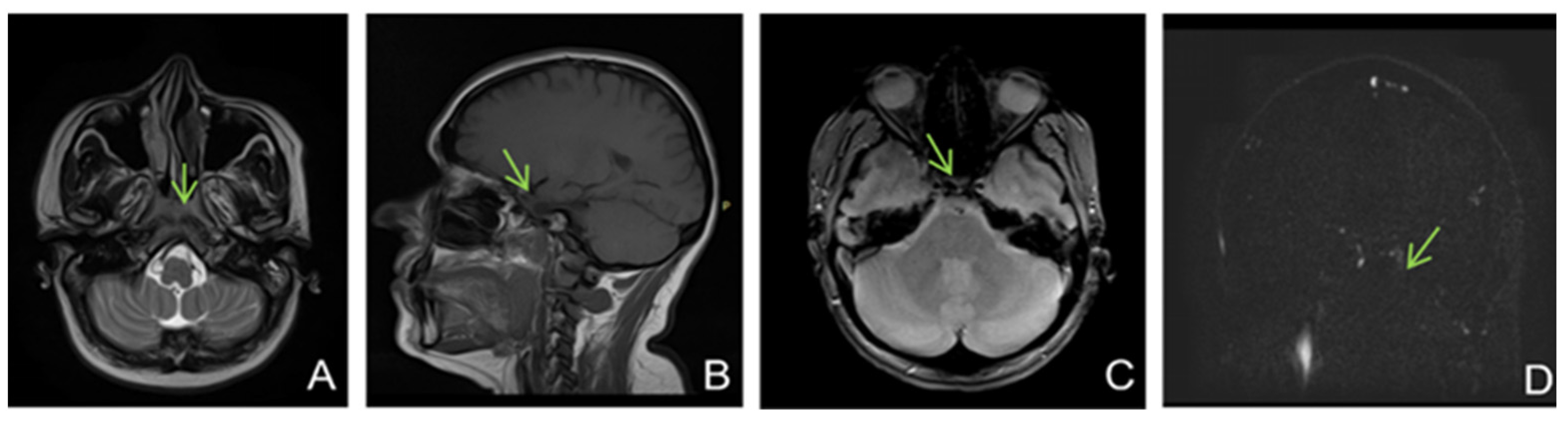 Life 13 00334 g005 Life 13 00334 g005