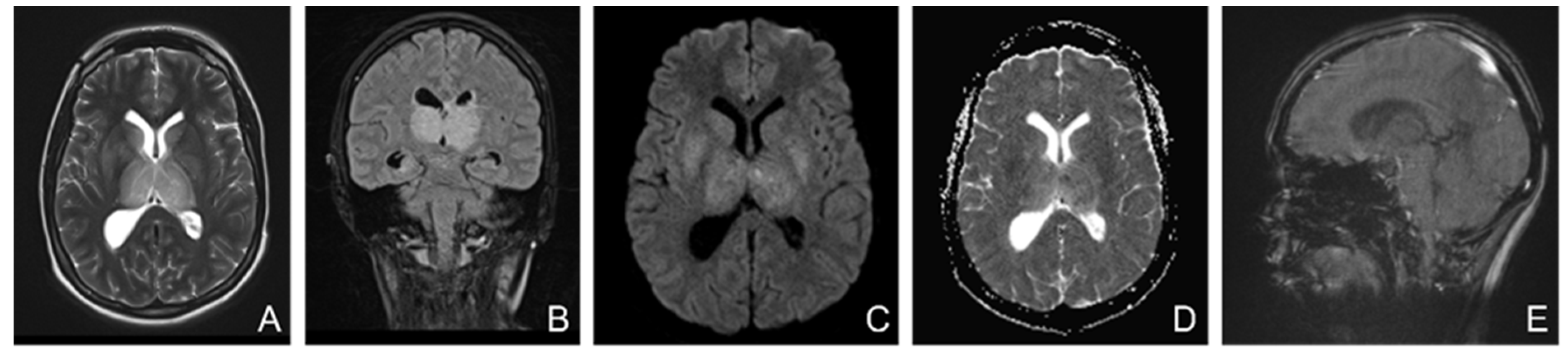 Life 13 00334 g006 Life 13 00334 g006