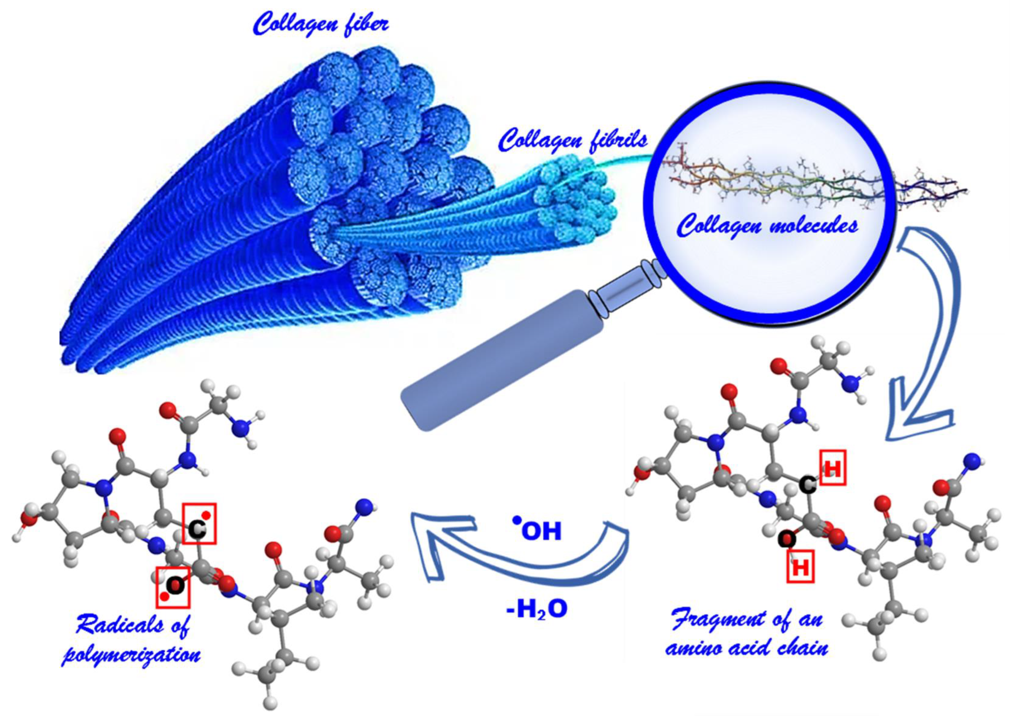 Life 13 00352 g002 Life 13 00352 g002