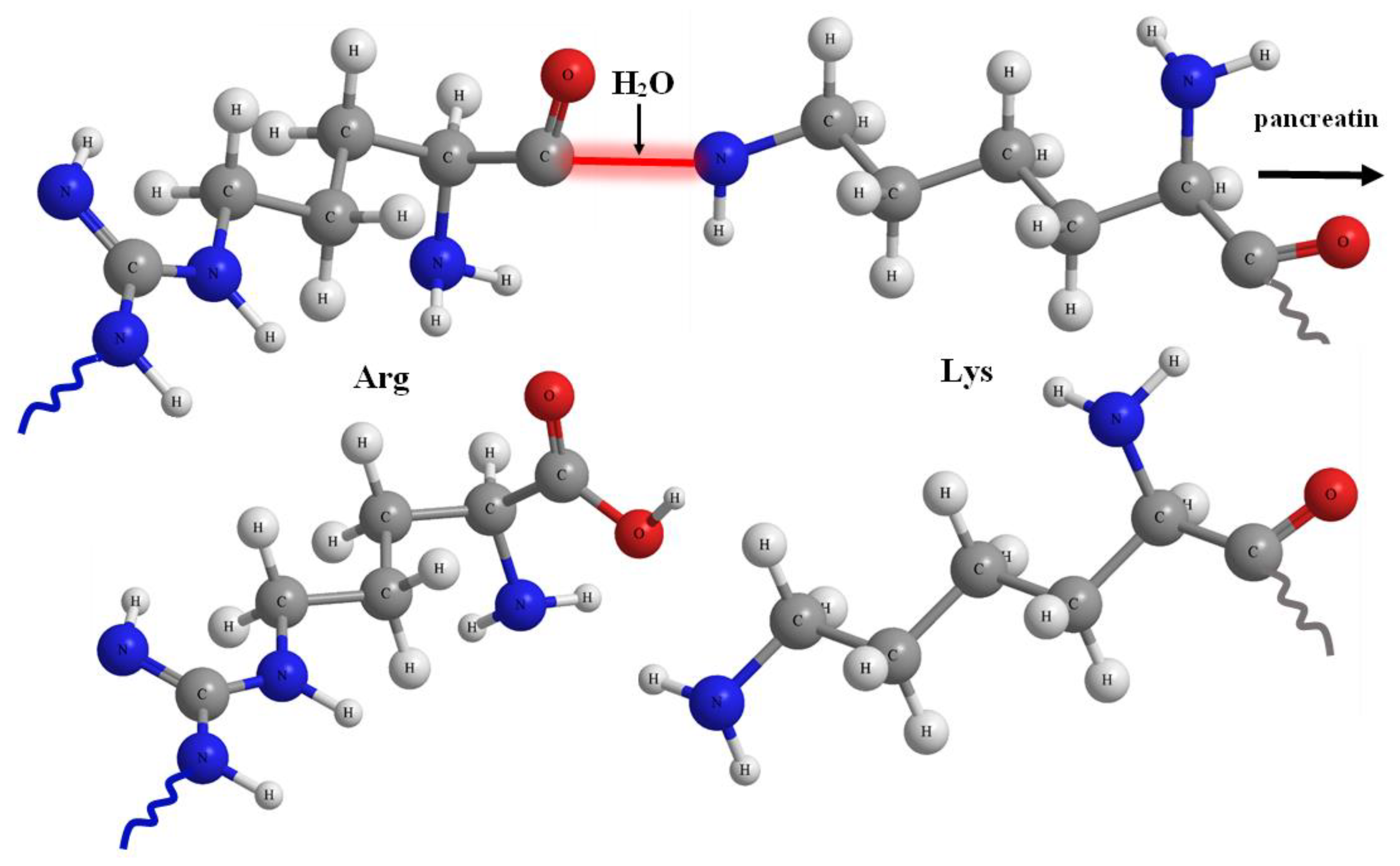 Life 13 00352 g007 Life 13 00352 g007