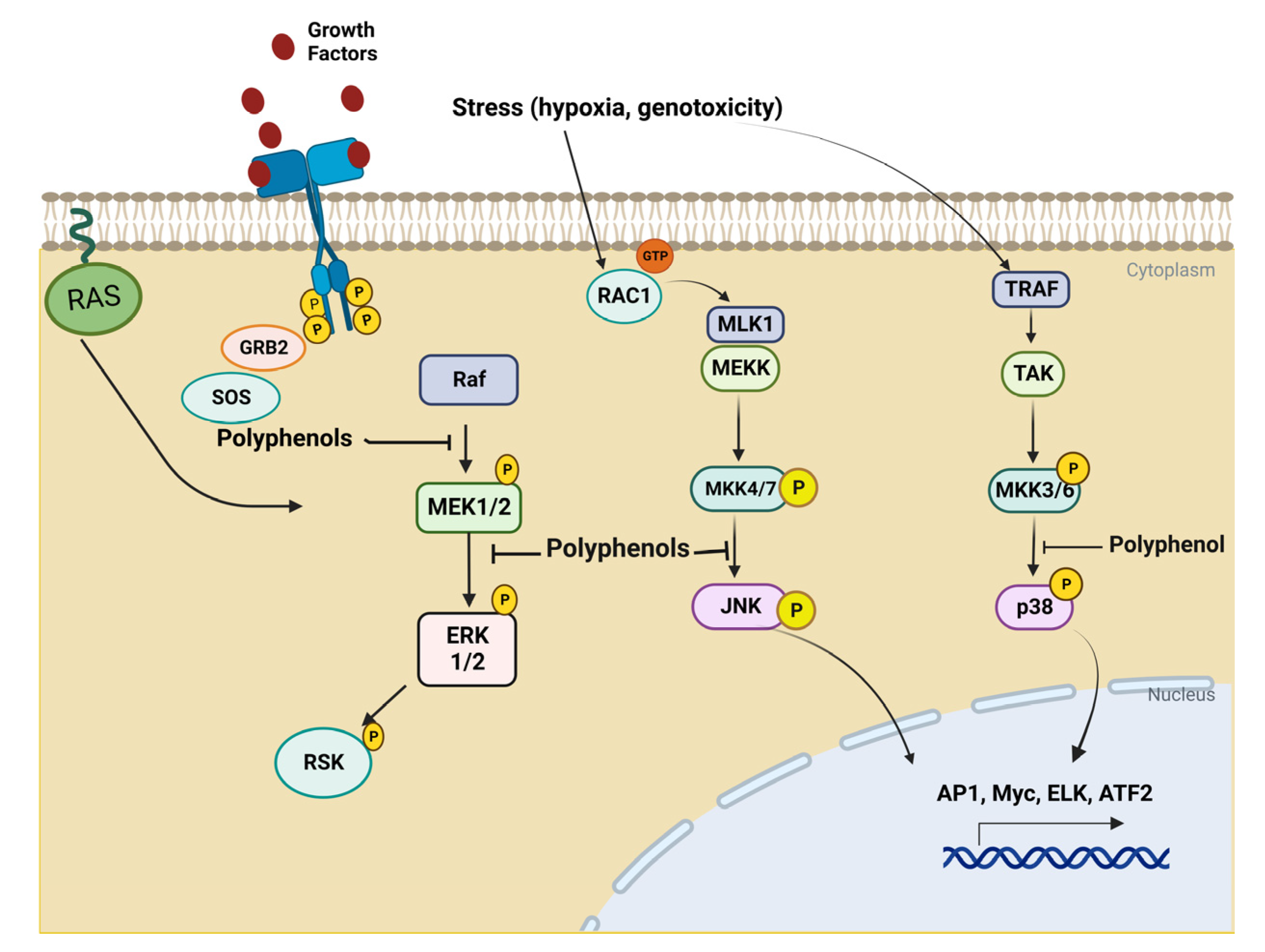 Life 13 00361 g002 Life 13 00361 g002