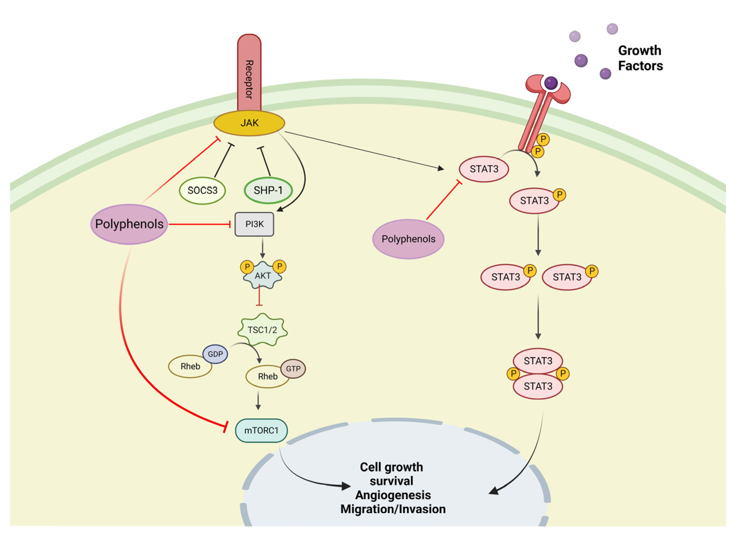 Life 13 00361 g003 Life 13 00361 g003